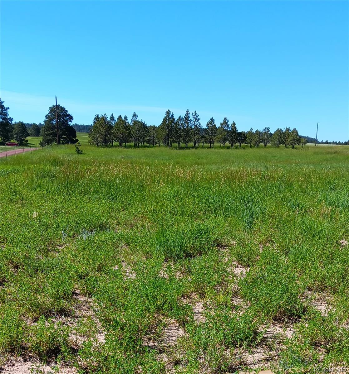 5335 County Road 82 Elbert, CO 80106 - Photo 3 of 26