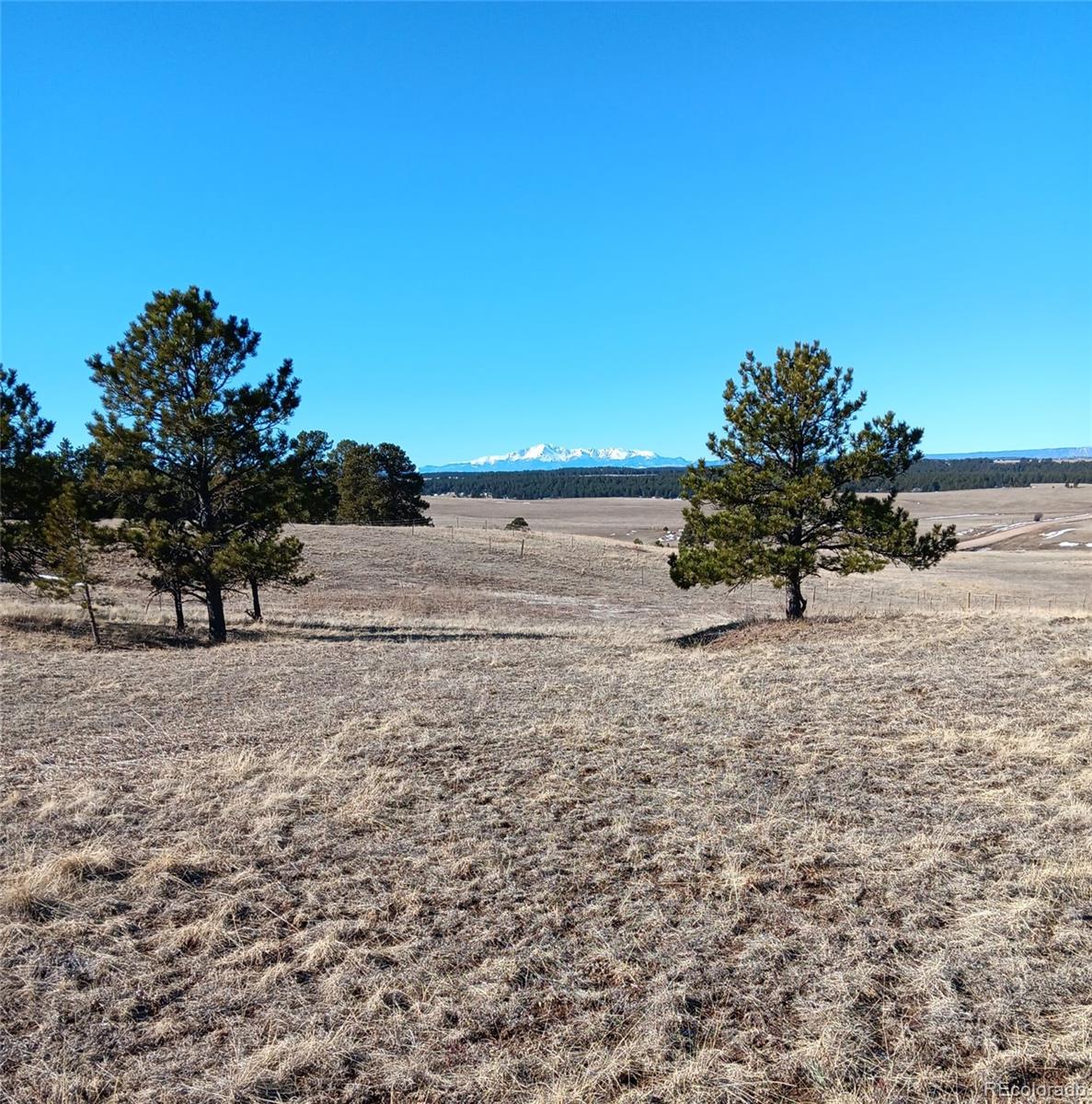 5335 County Road 82 Elbert, CO 80106 - Photo 6 of 26