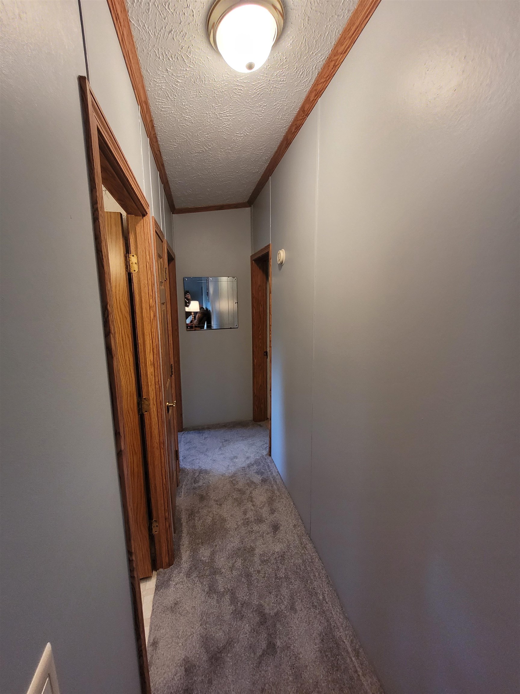 3365 South Baldwin Road Ithaca, MI 48847 - Photo 28 of 51