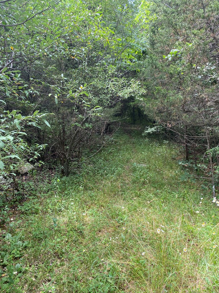 Tbd Martin Farm Road, Unit 52A 712 Cedar Bluff, VA 24609 - Photo 11 of 13 Gallery Image 11