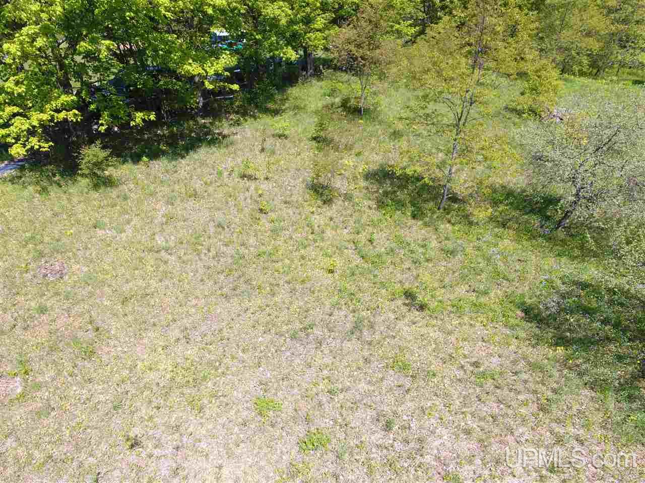 Tbd Tbd Akkala Road Eben Junction, MI 49825 - Photo 5 of 12