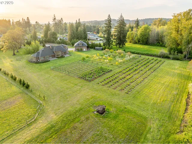a bathroom with a sink and garden