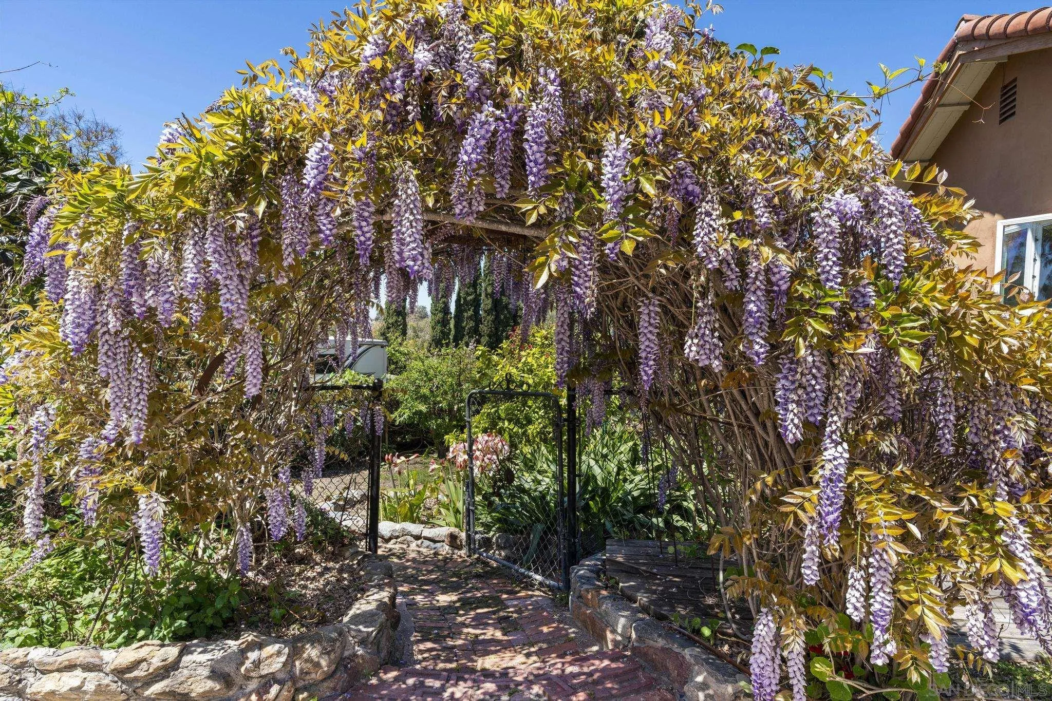 923 Sunset Drive Vista, CA 92081 - Photo 41 of 74 a backyard of a house with lots of green space
