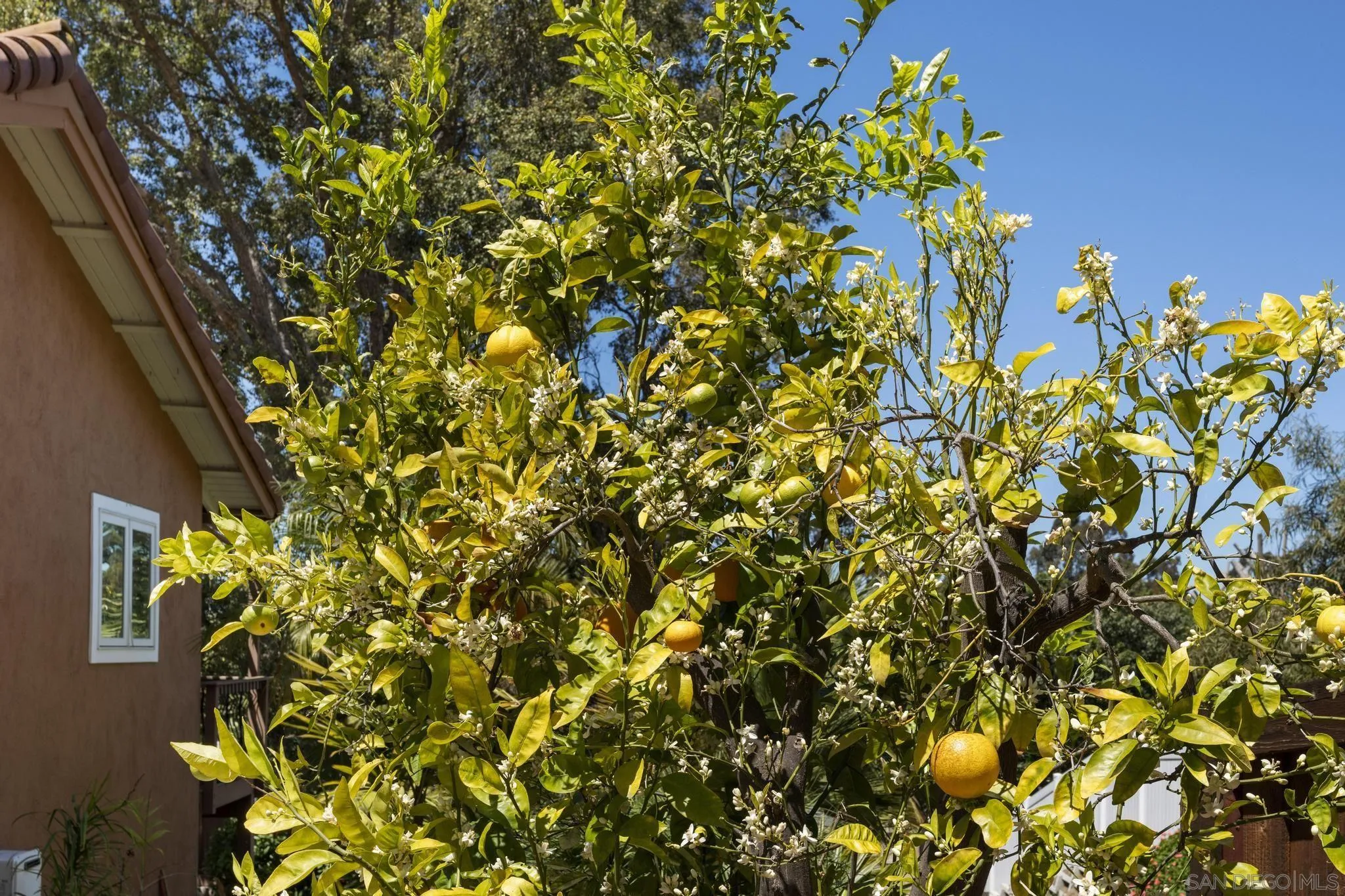 923 Sunset Drive Vista, CA 92081 - Photo 54 of 74