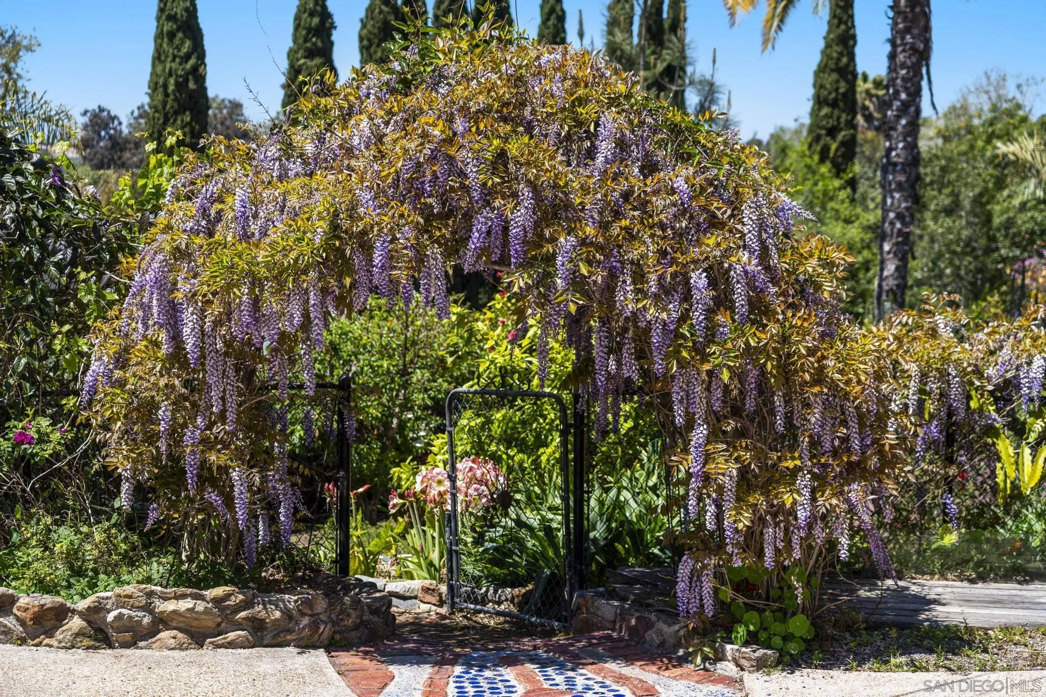 923 Sunset Drive Vista, CA 92081 - Photo 59 of 74 a backyard of a house with lots of green space