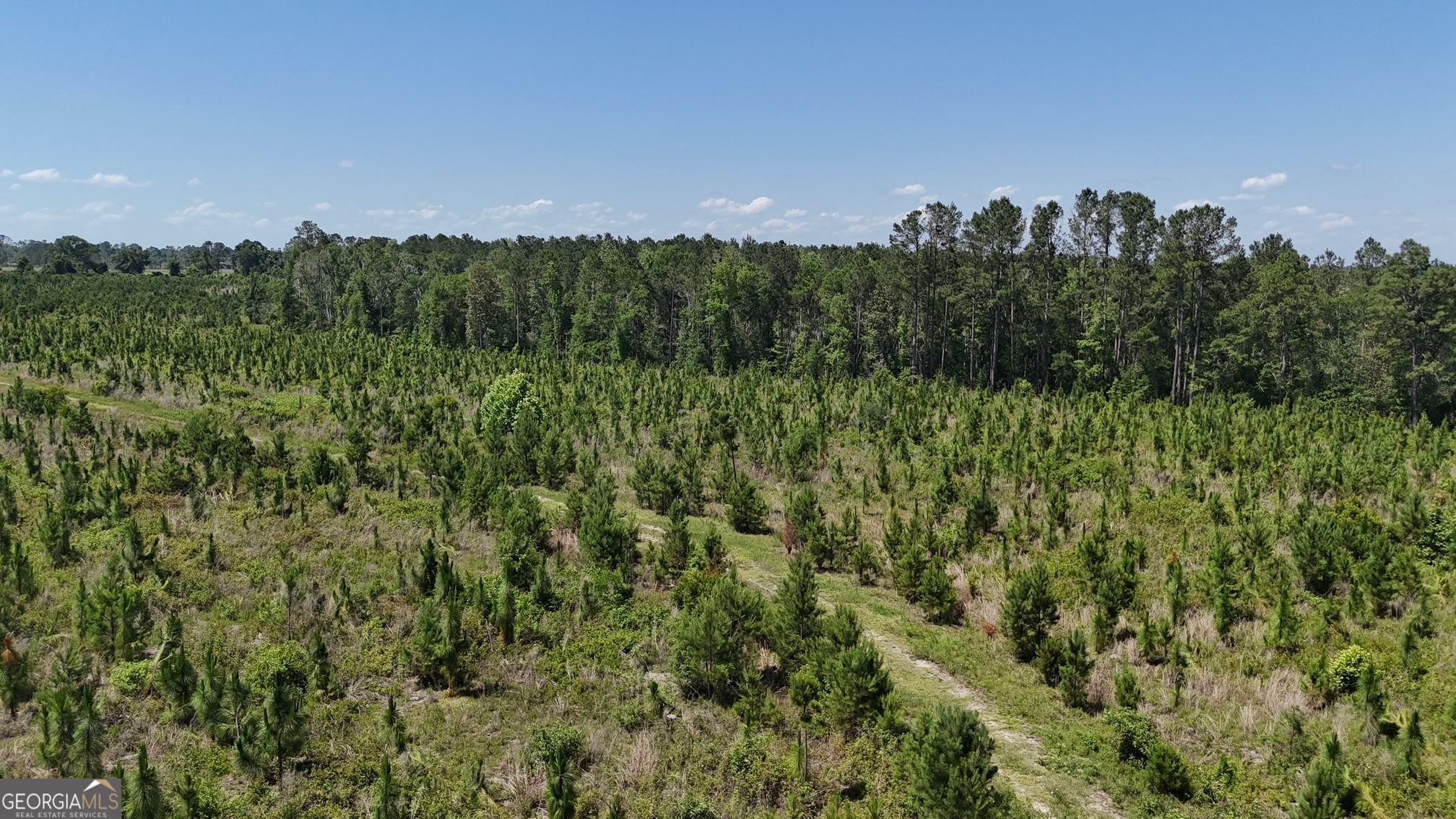 0 Deer Run Road Vidalia, GA 30474 - Photo 2 of 7