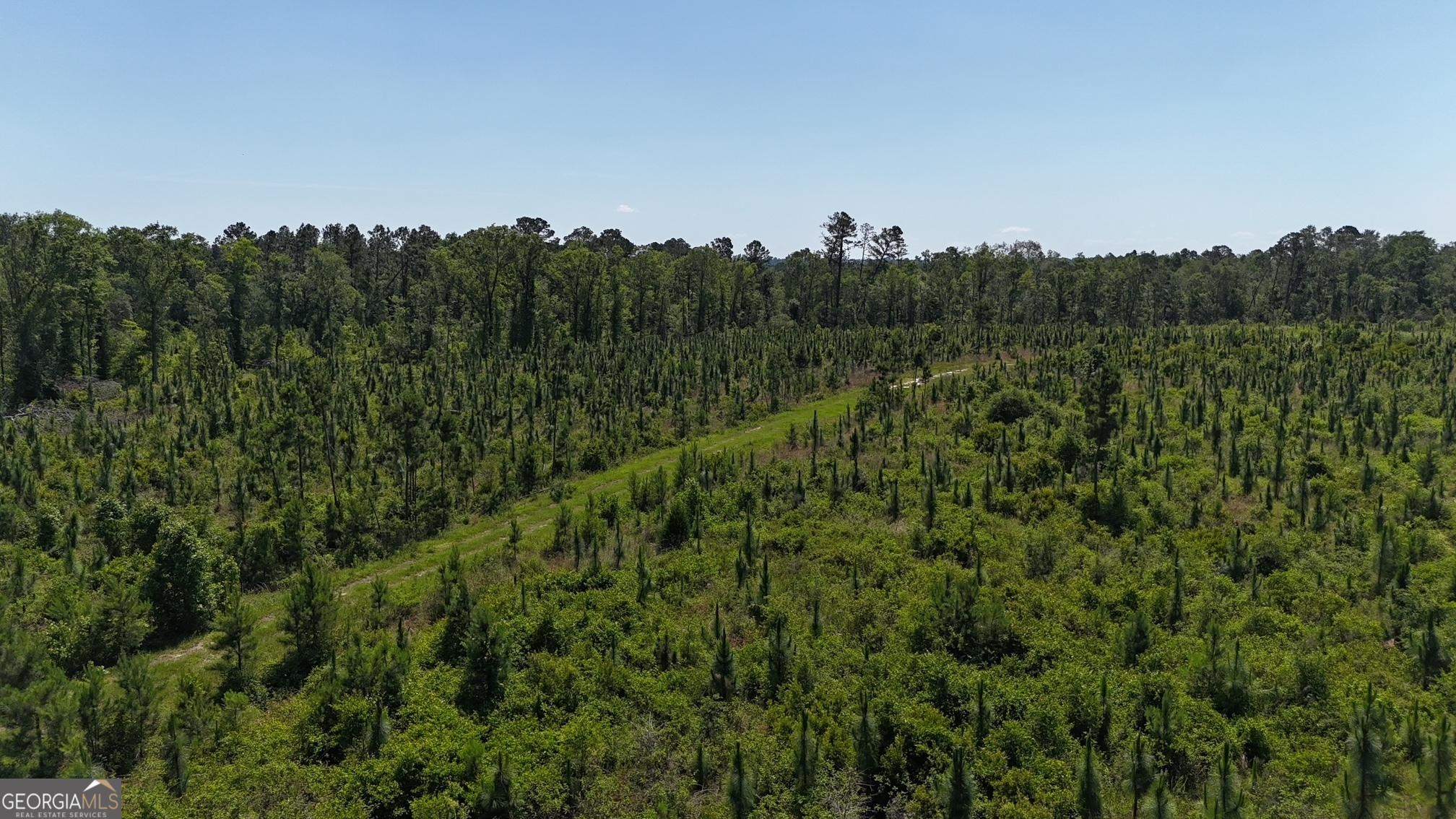 0 Deer Run Road Vidalia, GA 30474 - Photo 3 of 7