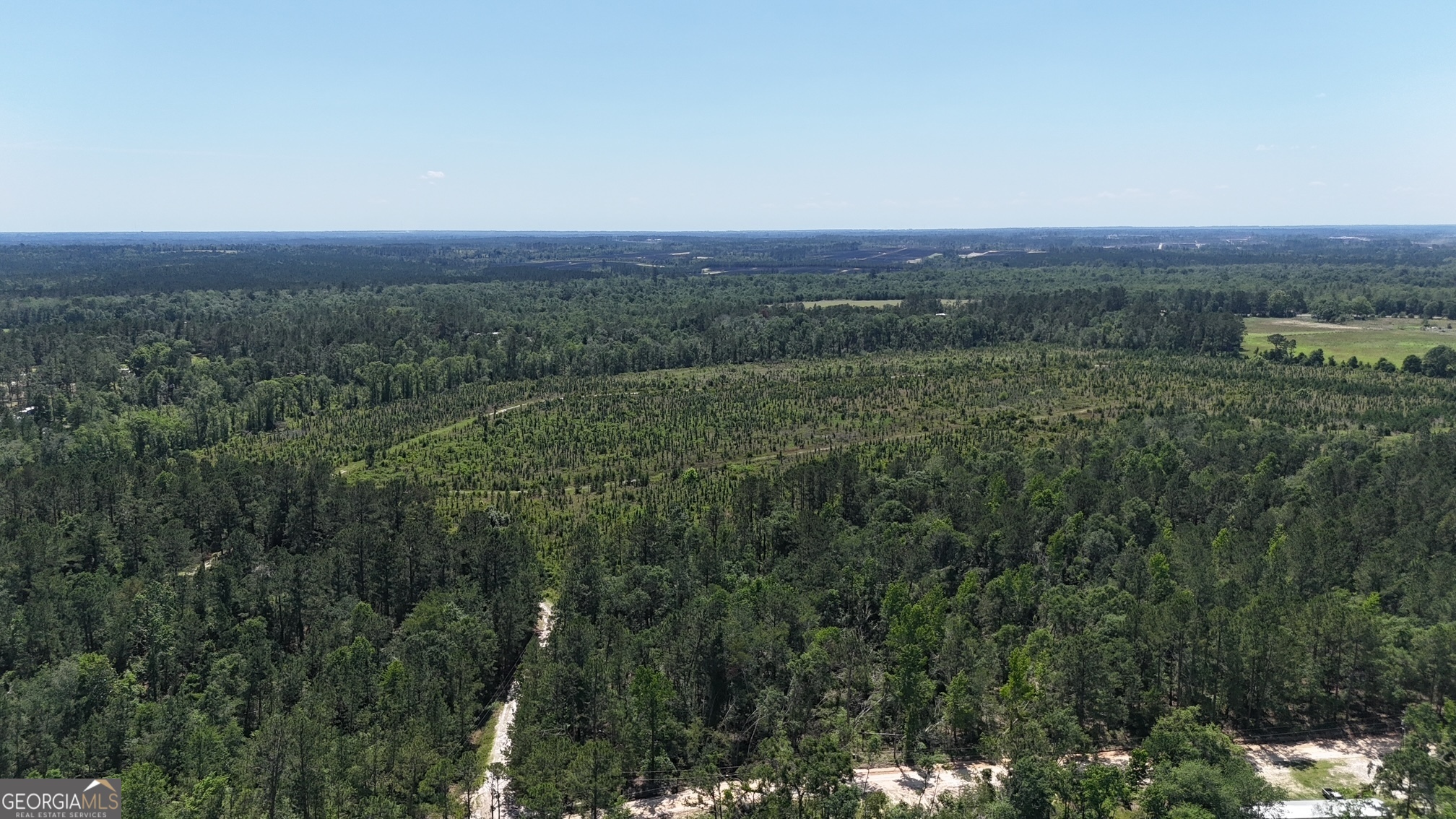 0 Deer Run Road Vidalia, GA 30474 - Photo 4 of 7