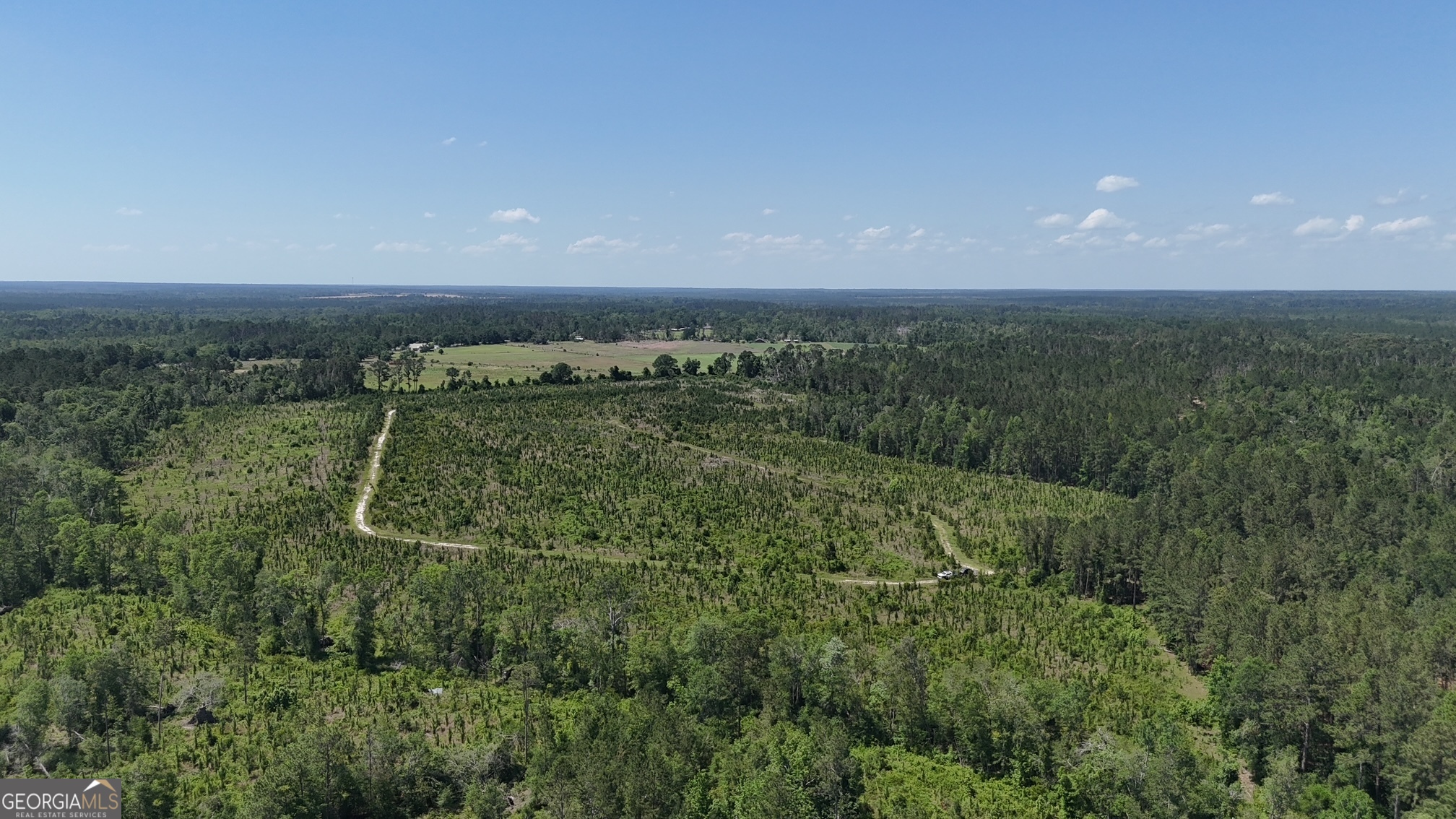 0 Deer Run Road Vidalia, GA 30474 - Photo 6 of 7