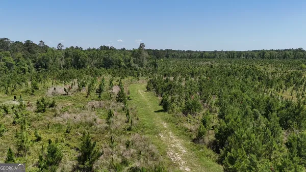 $304,969 | 0 Deer Run Road, Vidalia, GA 30474