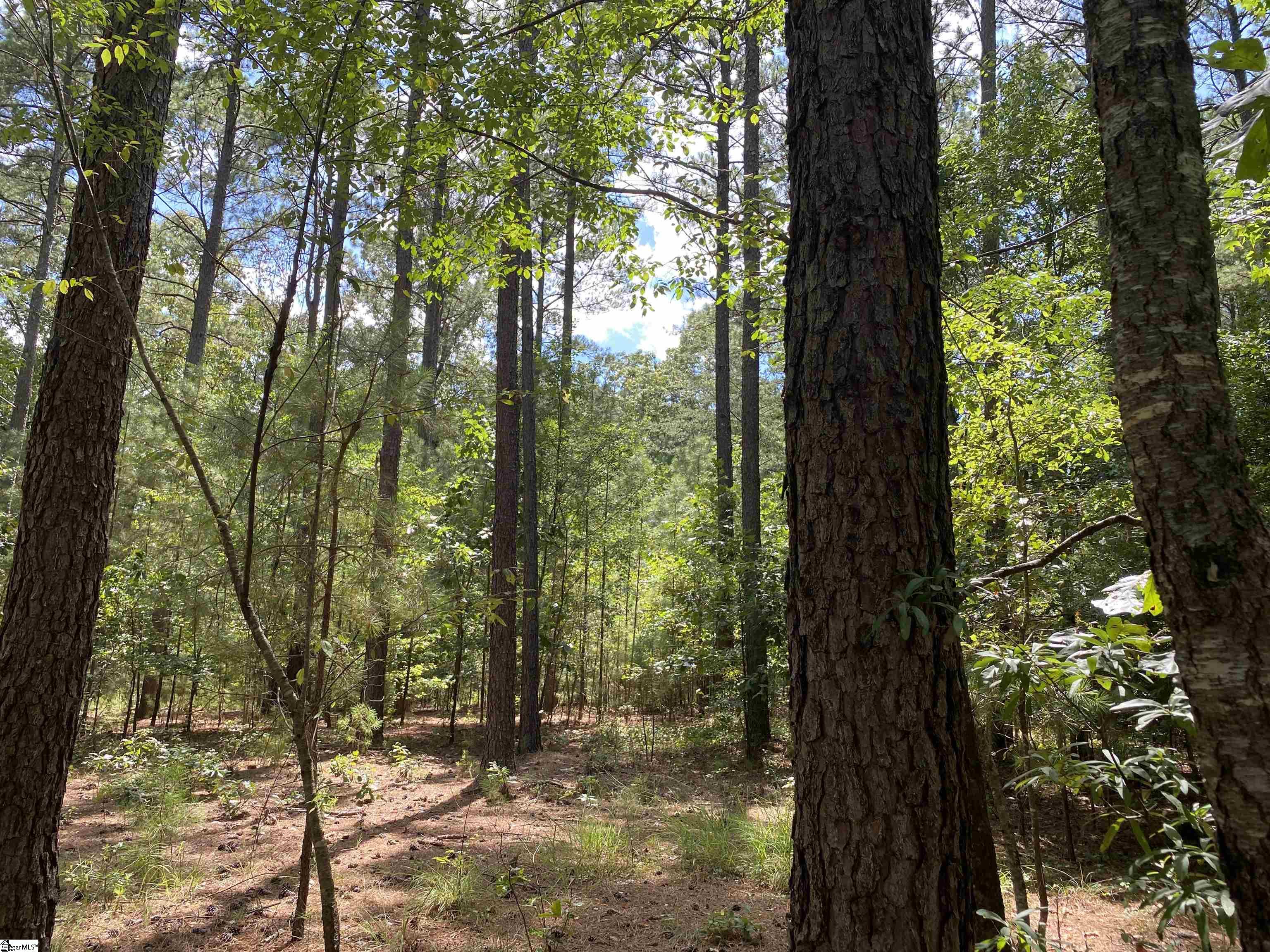 0 Sandy Springs Road Pelzer, SC 29669 - Photo 11 of 25