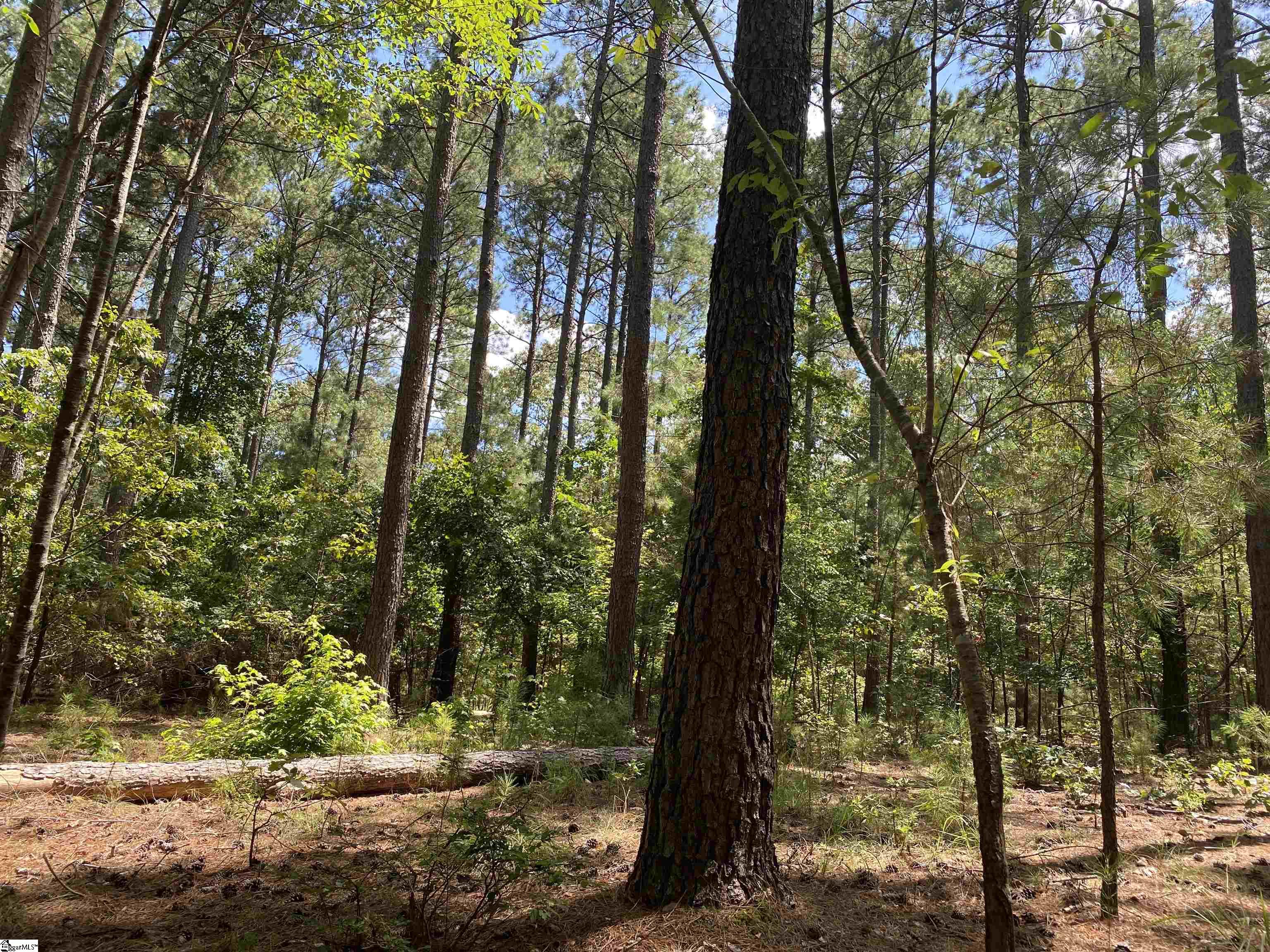 0 Sandy Springs Road Pelzer, SC 29669 - Photo 13 of 25