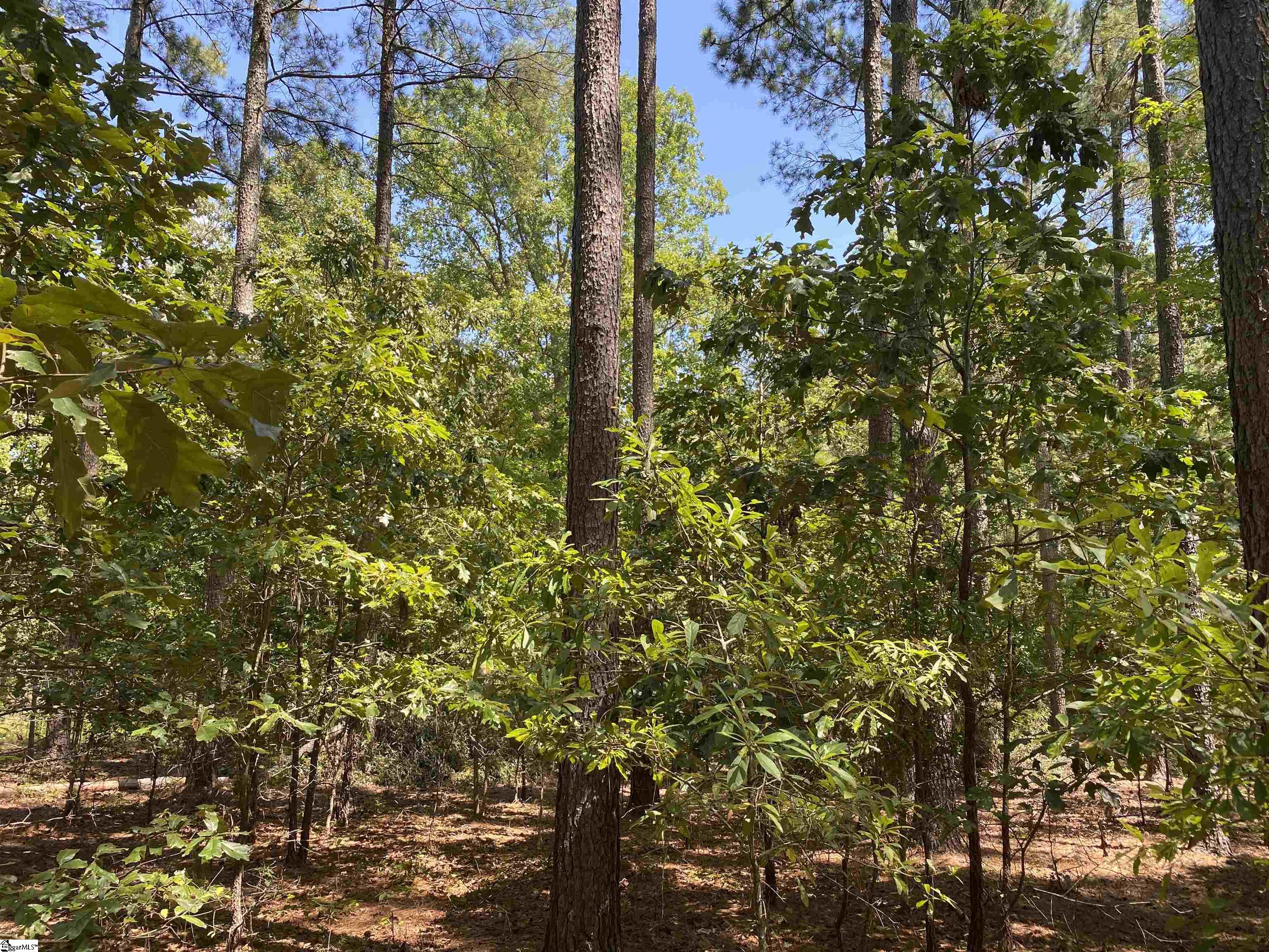 0 Sandy Springs Road Pelzer, SC 29669 - Photo 14 of 25