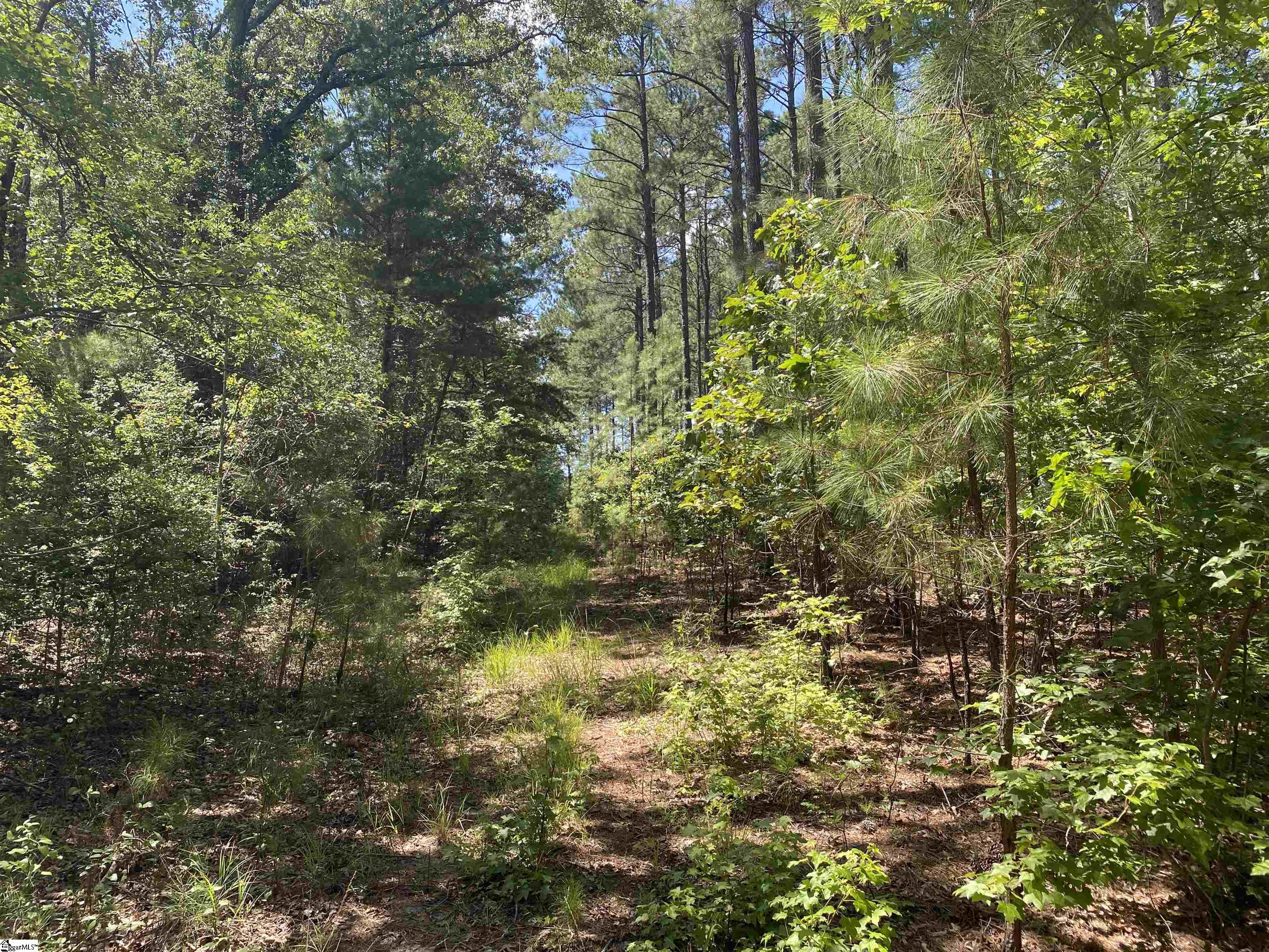 0 Sandy Springs Road Pelzer, SC 29669 - Photo 16 of 25