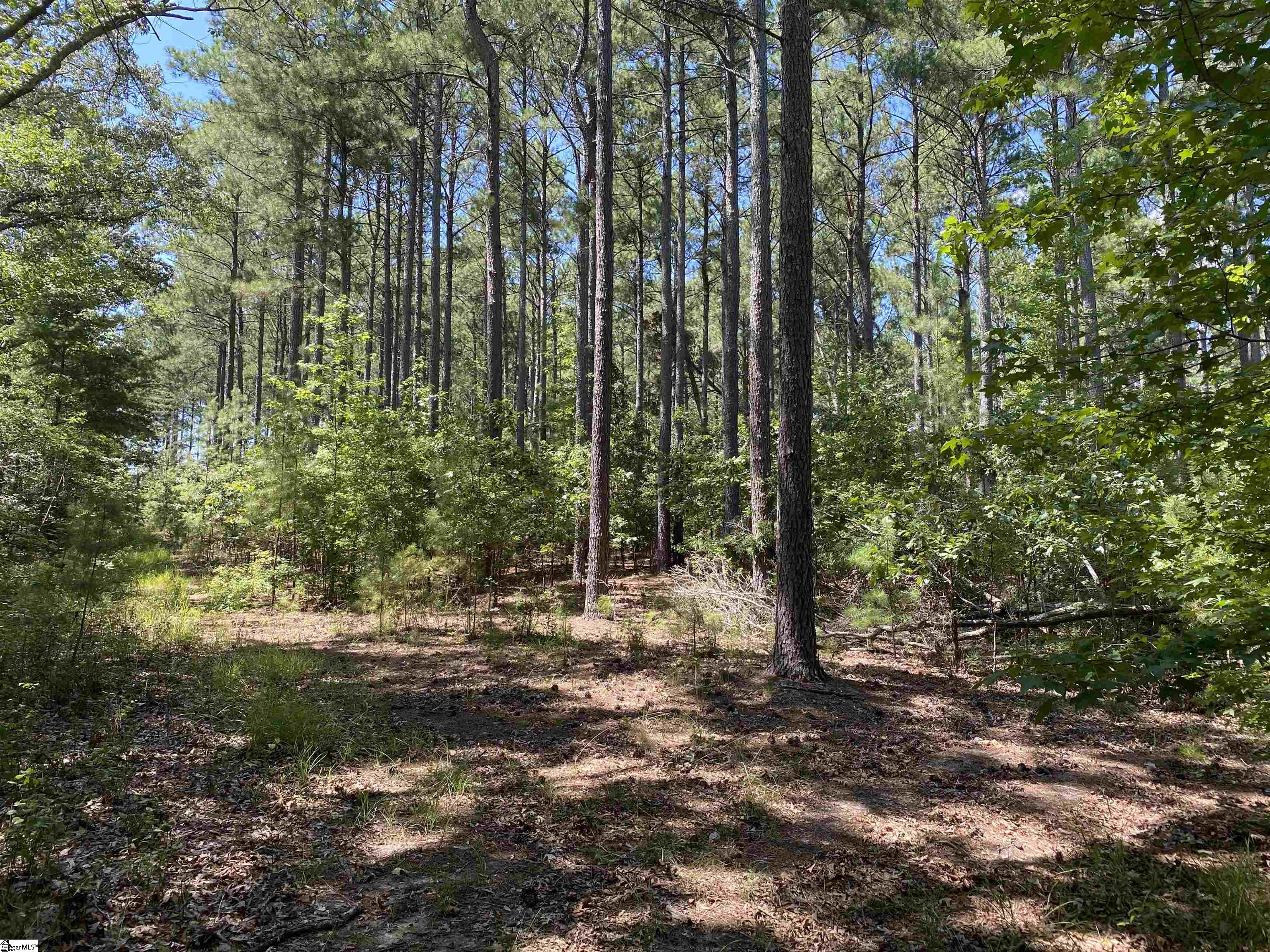 0 Sandy Springs Road Pelzer, SC 29669 - Photo 17 of 25