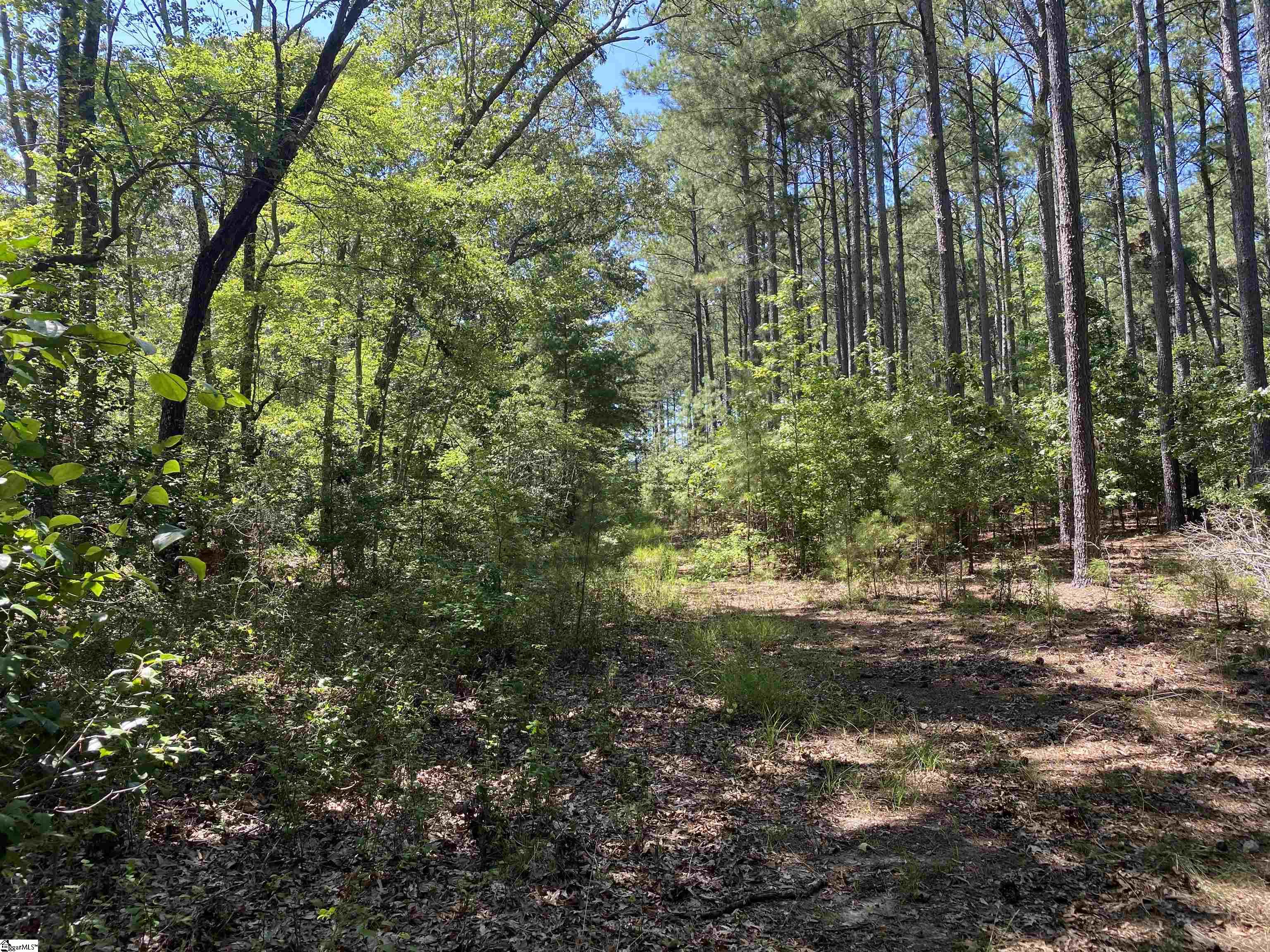 0 Sandy Springs Road Pelzer, SC 29669 - Photo 18 of 25