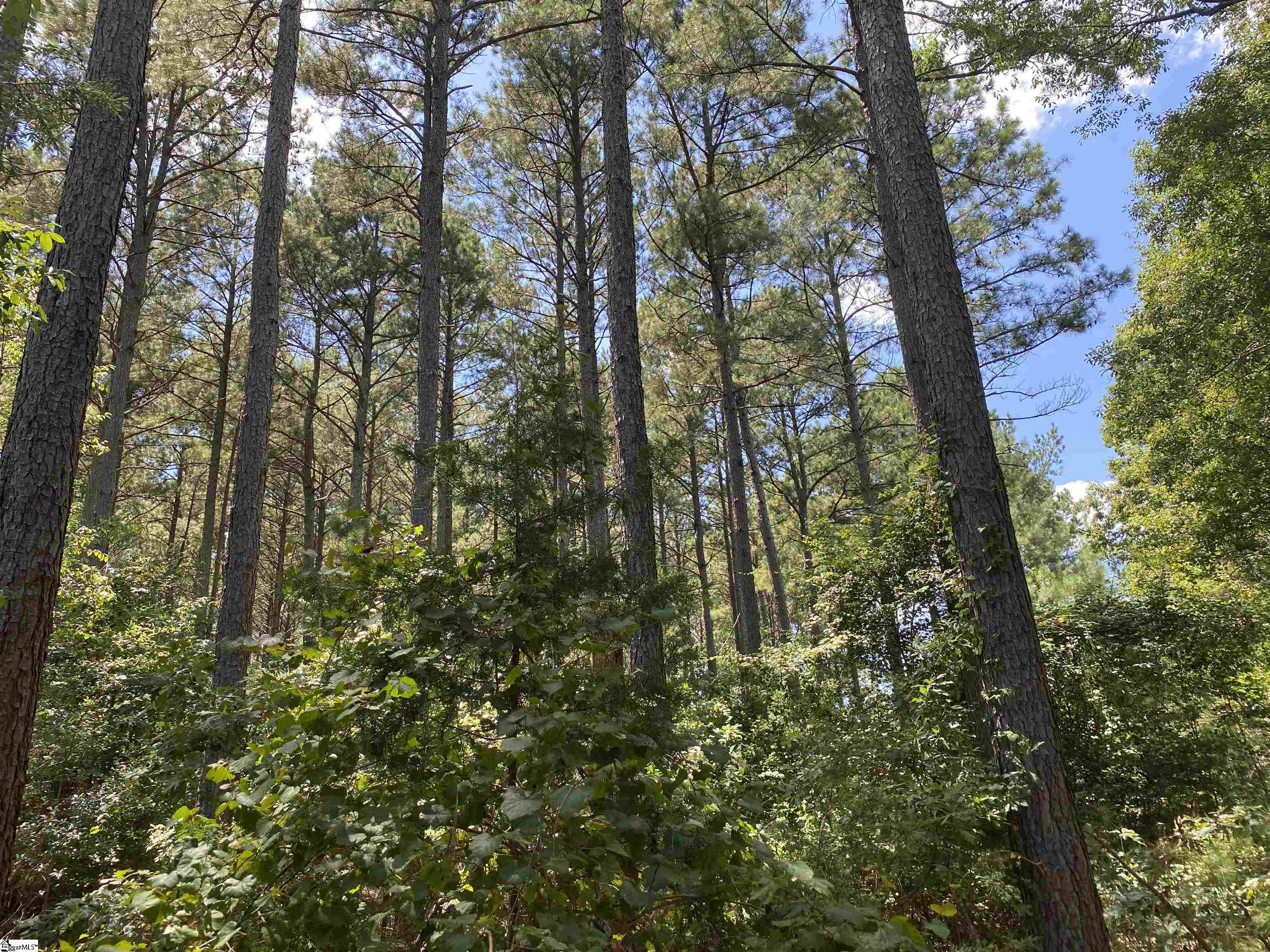 0 Sandy Springs Road Pelzer, SC 29669 - Photo 20 of 25