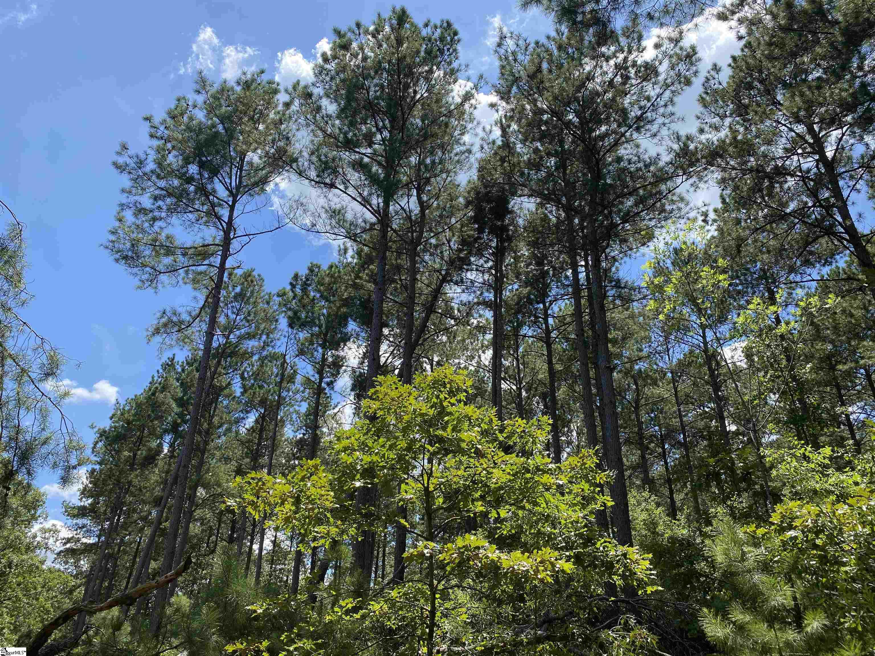 0 Sandy Springs Road Pelzer, SC 29669 - Photo 21 of 25