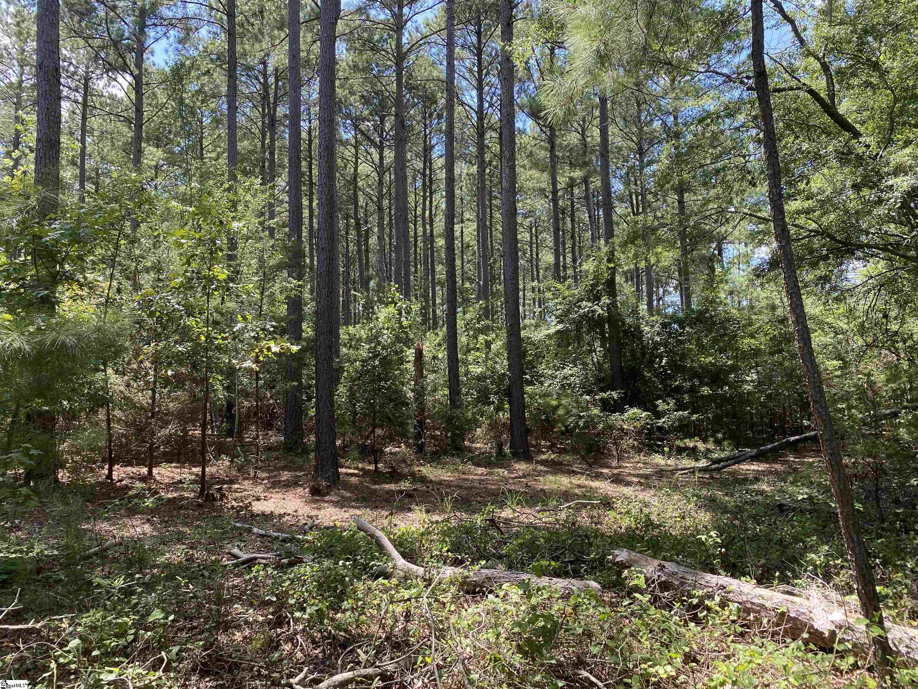 0 Sandy Springs Road Pelzer, SC 29669 - Photo 23 of 25