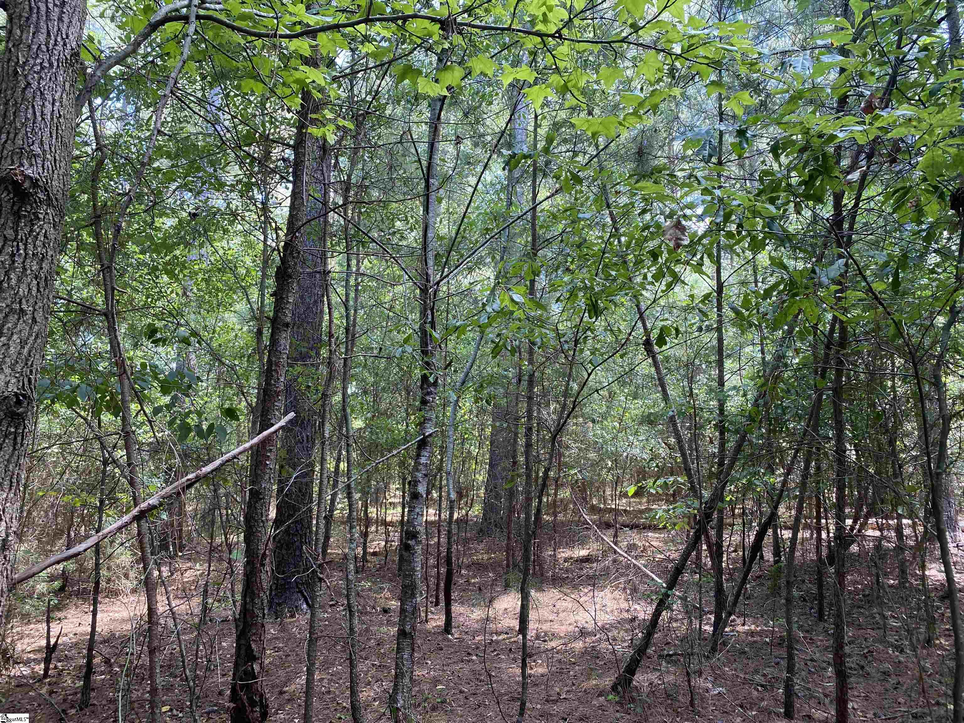 0 Sandy Springs Road Pelzer, SC 29669 - Photo 25 of 25