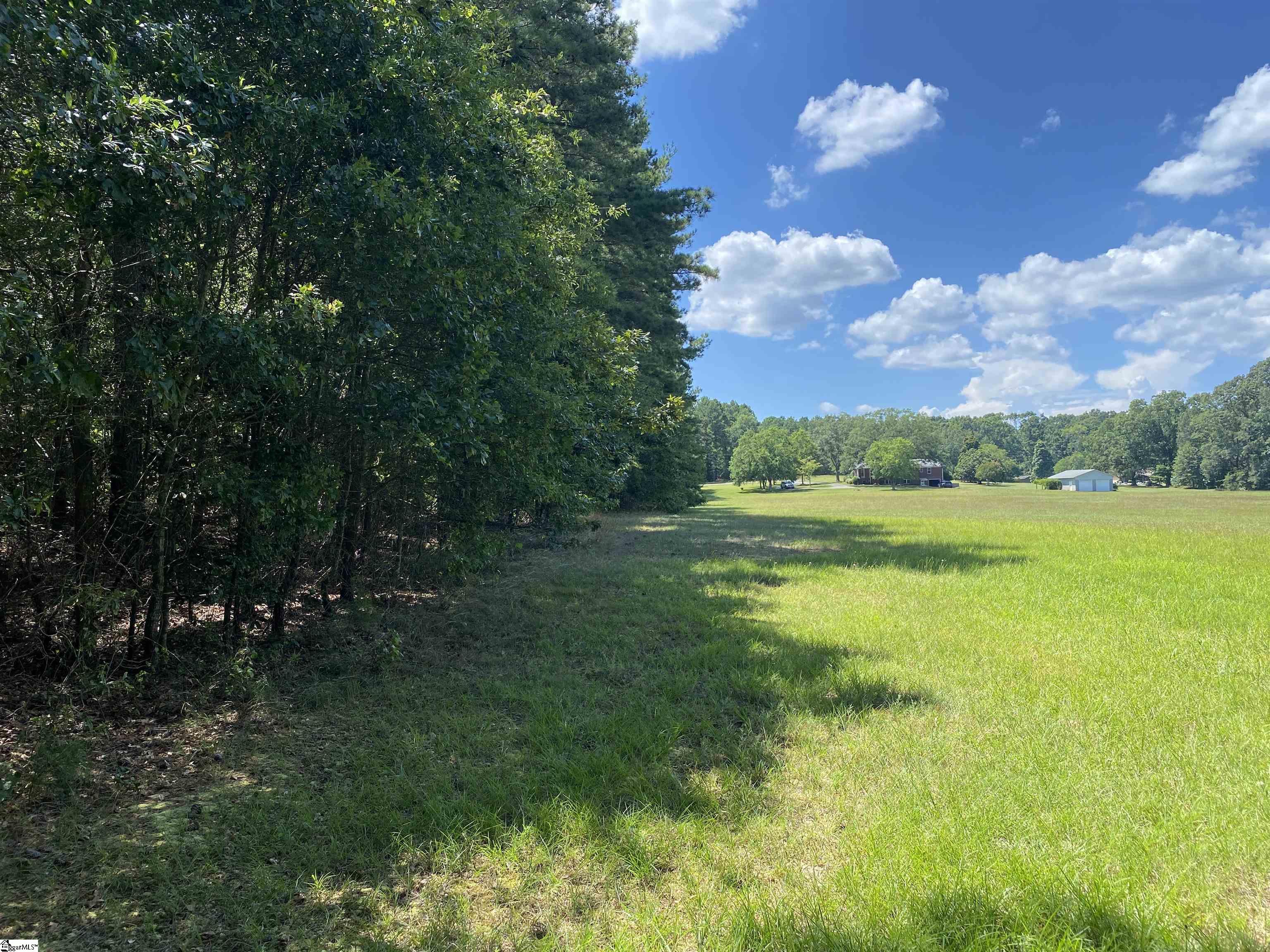 0 Sandy Springs Road Pelzer, SC 29669 - Photo 3 of 25