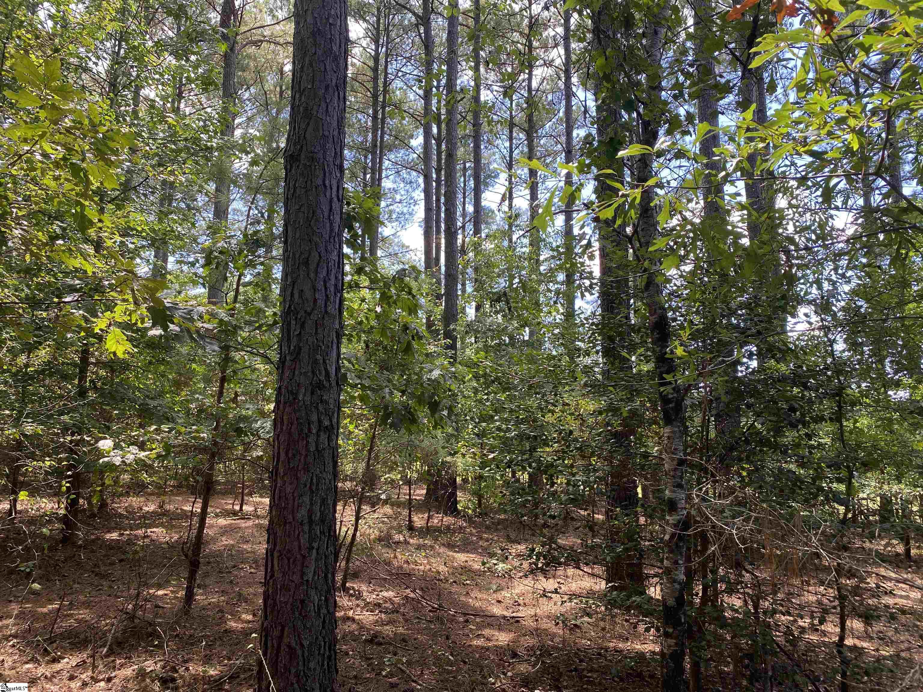 0 Sandy Springs Road Pelzer, SC 29669 - Photo 5 of 25