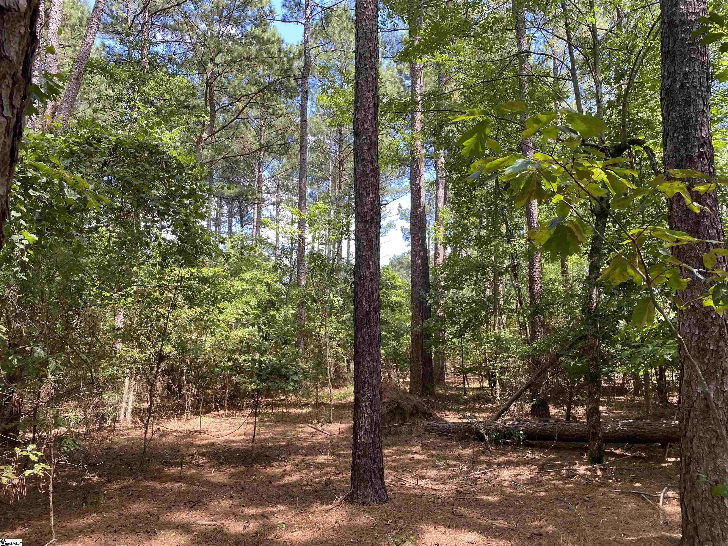 0 Sandy Springs Road Pelzer, SC 29669 - Photo 7 of 25
