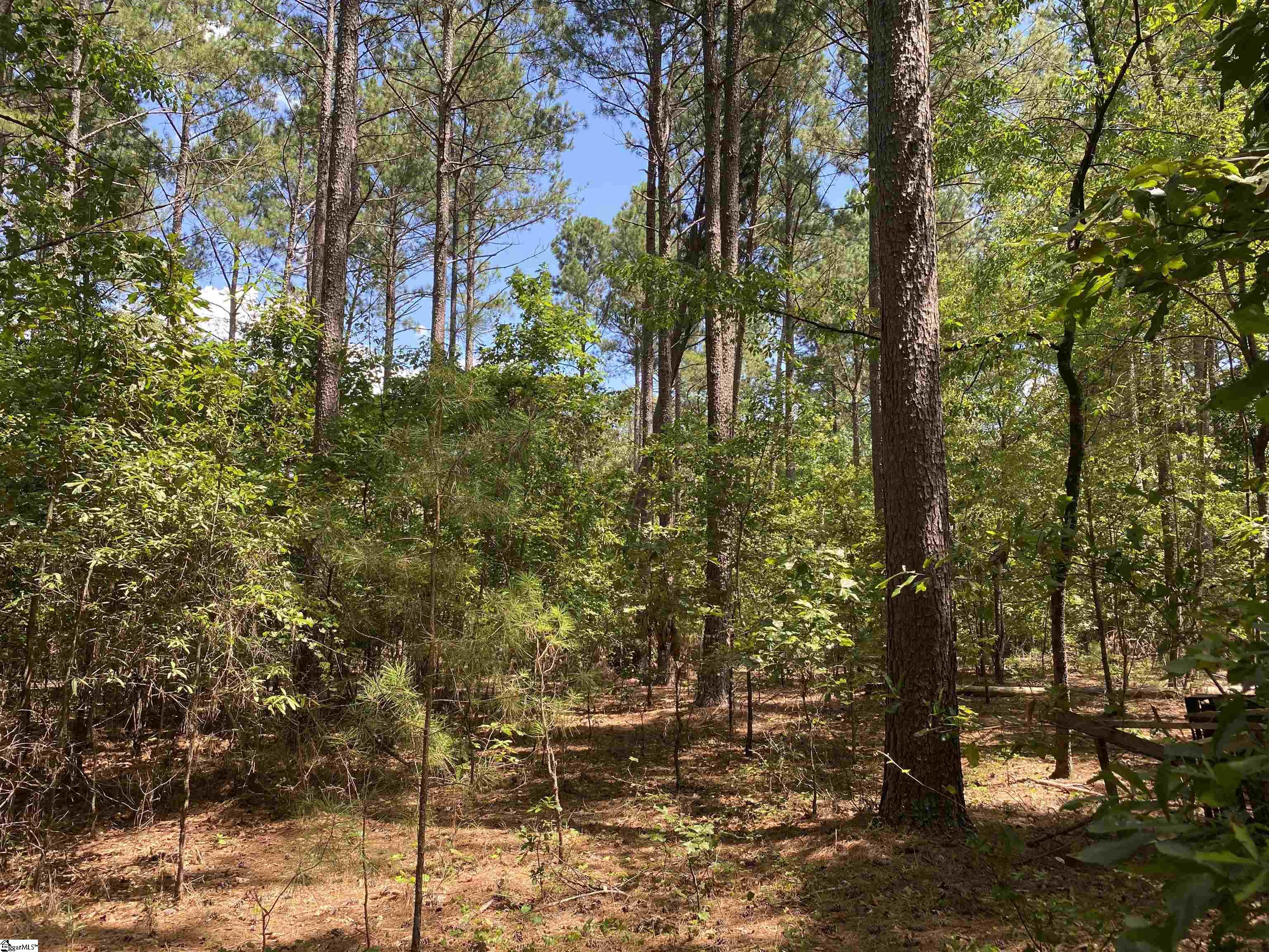0 Sandy Springs Road Pelzer, SC 29669 - Photo 8 of 25