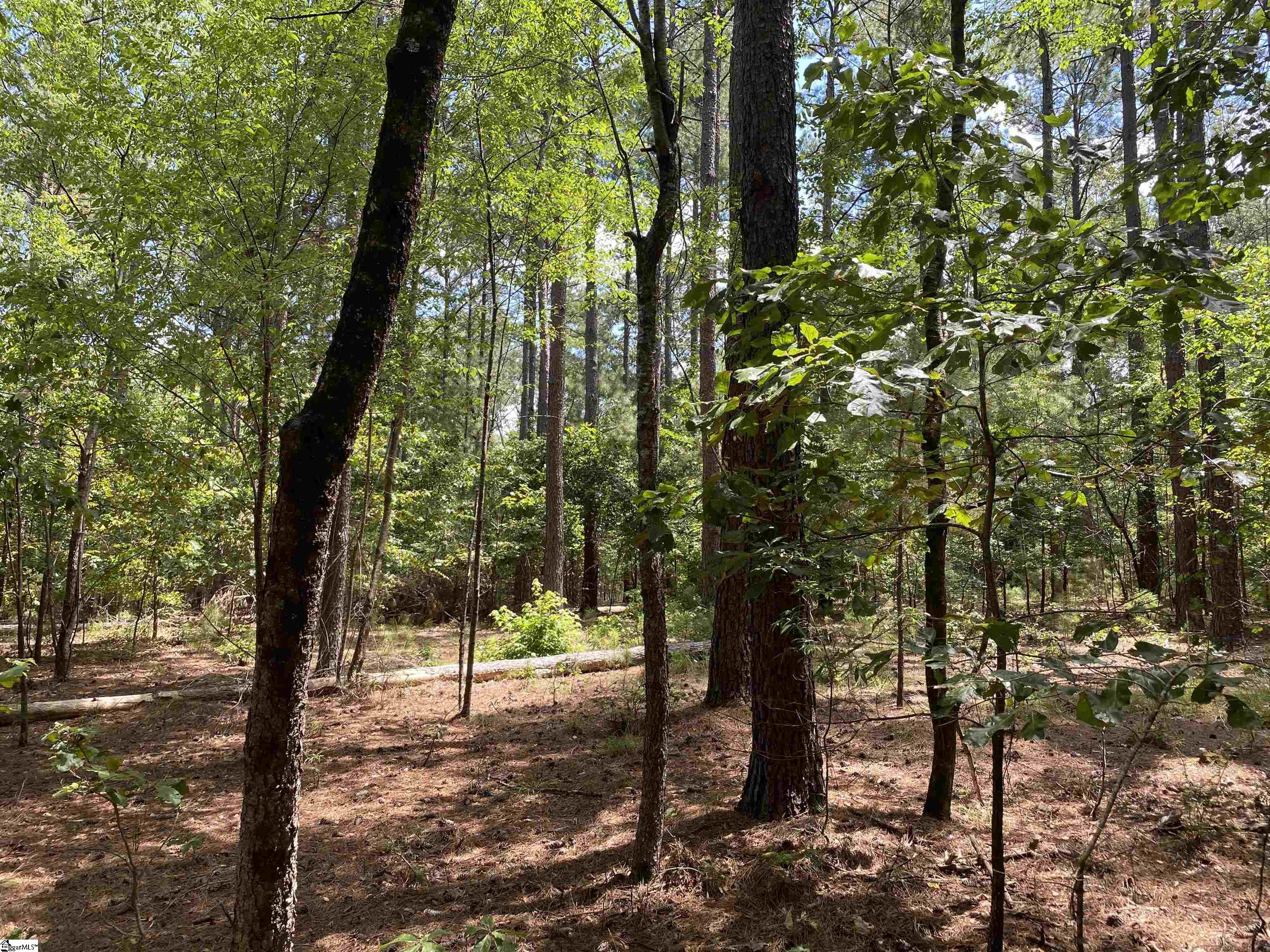 0 Sandy Springs Road Pelzer, SC 29669 - Photo 10 of 25