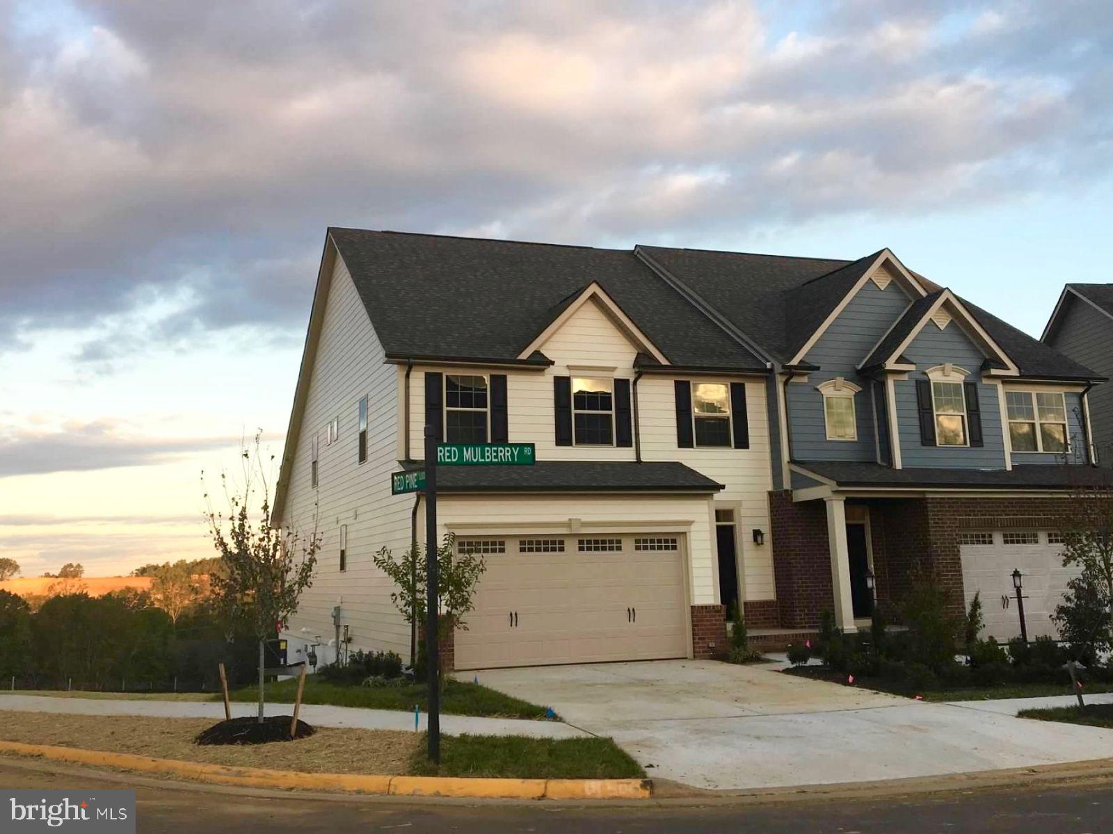 18118 Red Mulberry Road Dumfries, VA 22026 - Photo 2 of 3