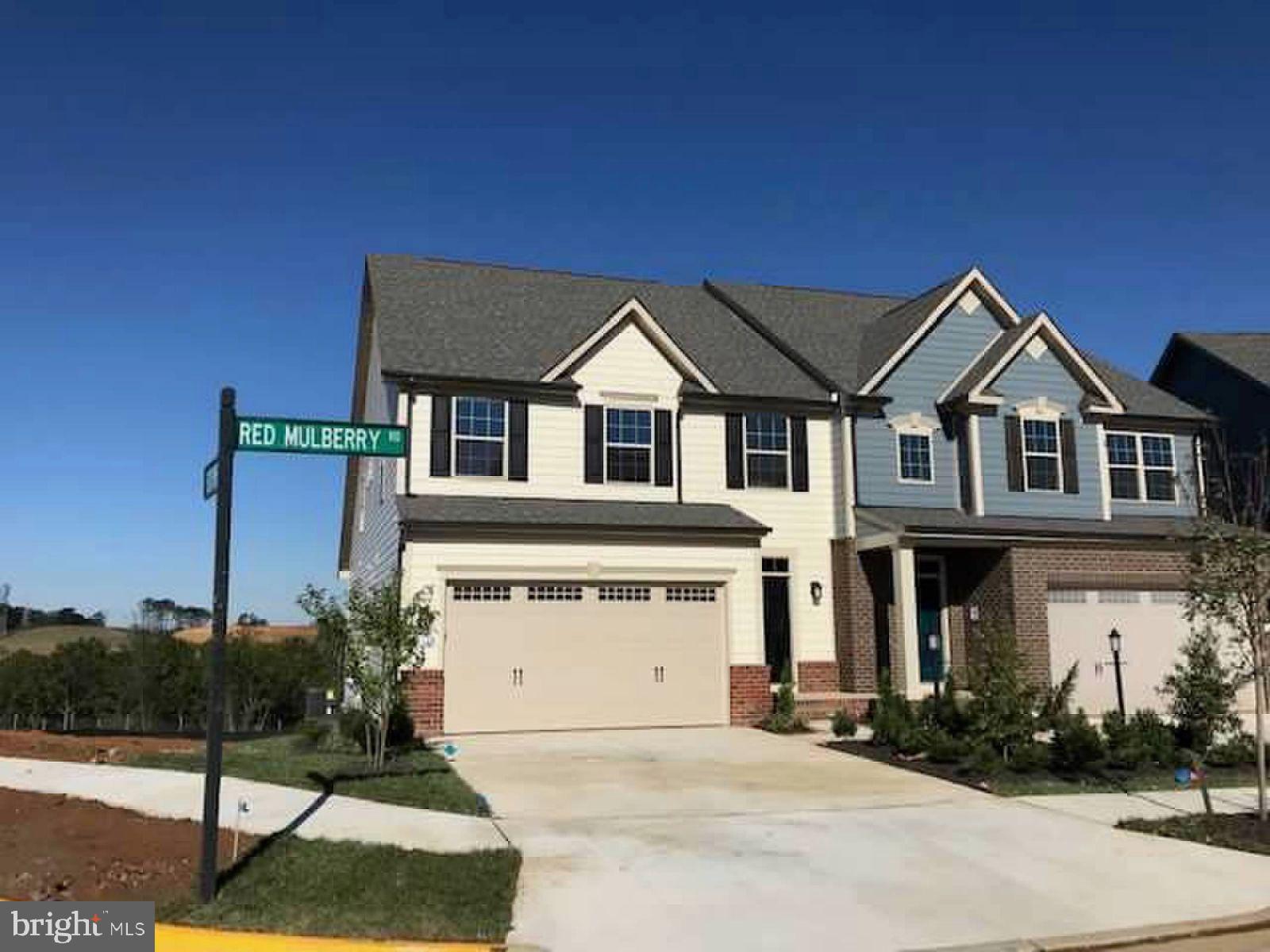 18118 Red Mulberry Road Dumfries, VA 22026 - Photo 3 of 3