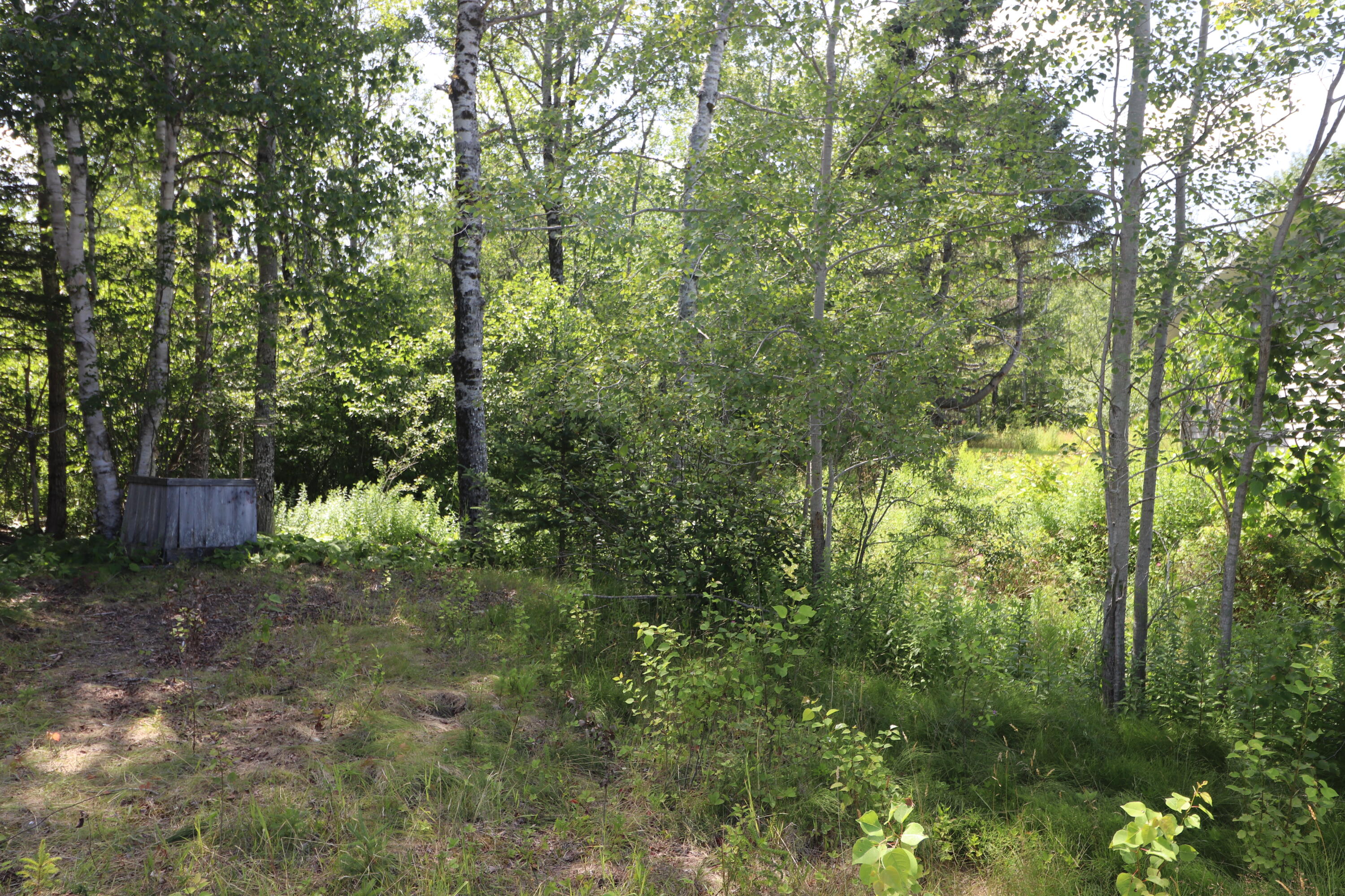 1323 Port Road Machiasport, ME 04655 - Photo 23 of 32 Yard