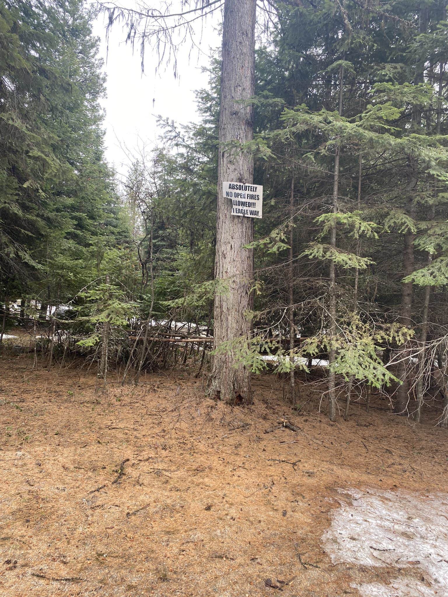 131 Eagle Way Usk, WA 99180 - Photo 11 of 31