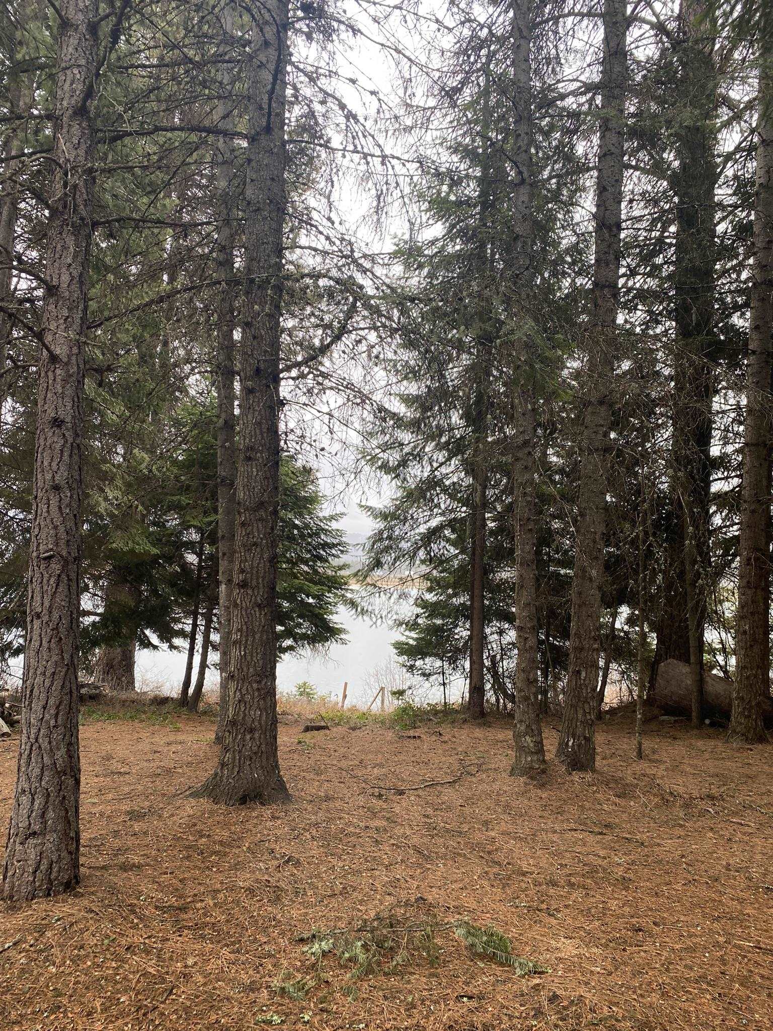 131 Eagle Way Usk, WA 99180 - Photo 15 of 31