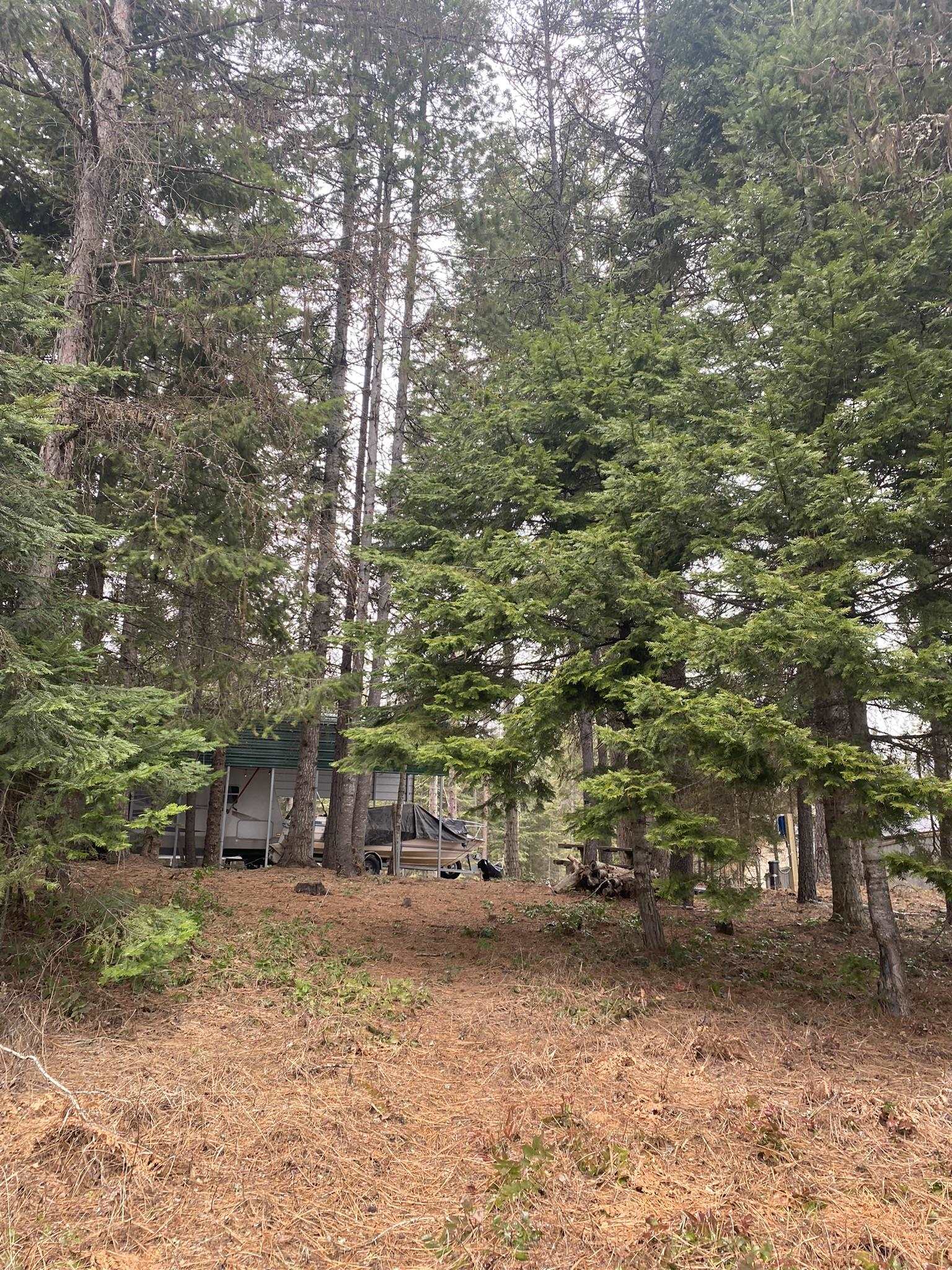 131 Eagle Way Usk, WA 99180 - Photo 16 of 31