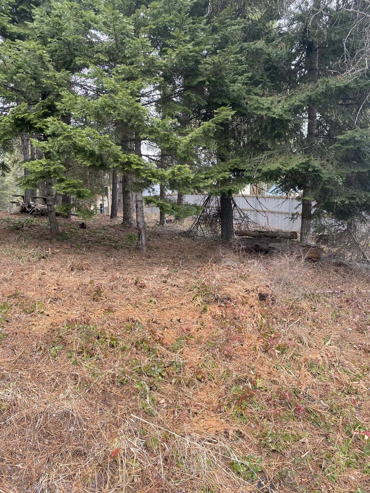 131 Eagle Way Usk, WA 99180 - Photo 19 of 31