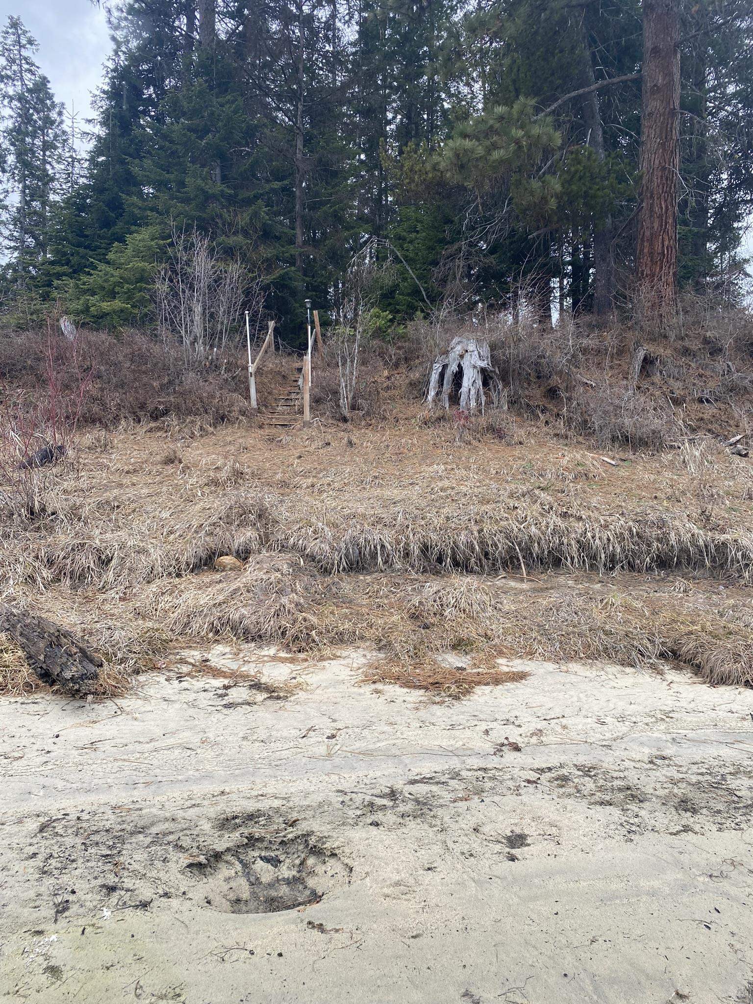 131 Eagle Way Usk, WA 99180 - Photo 26 of 31