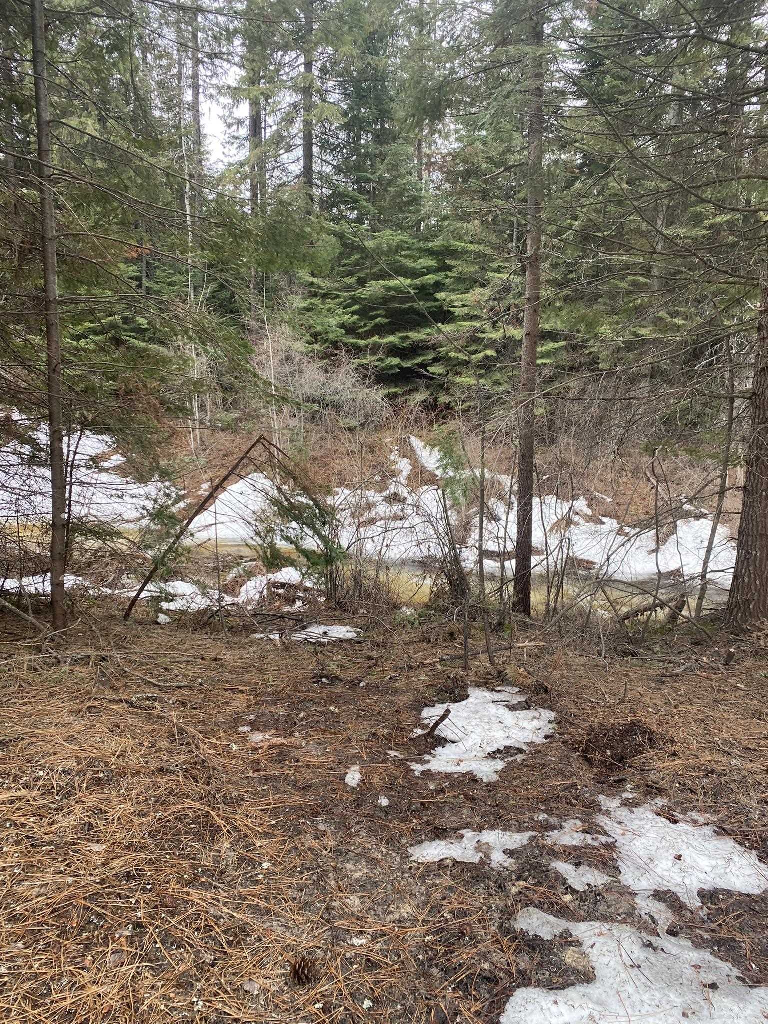 131 Eagle Way Usk, WA 99180 - Photo 8 of 31