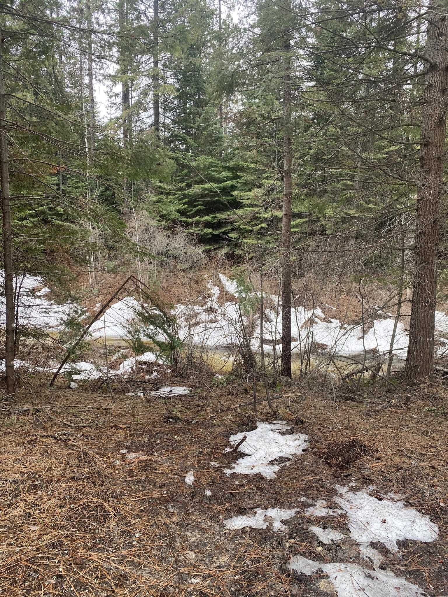 131 Eagle Way Usk, WA 99180 - Photo 9 of 31