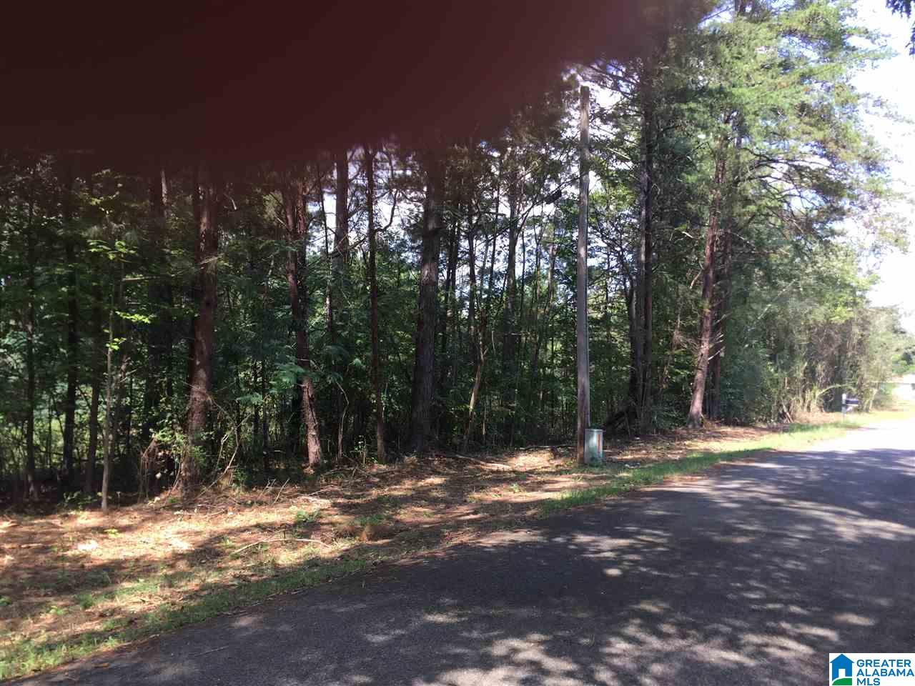 8095 Fishing Camp Road, Unit 36 001 Mulga, AL 35118 - Photo 6 of 10