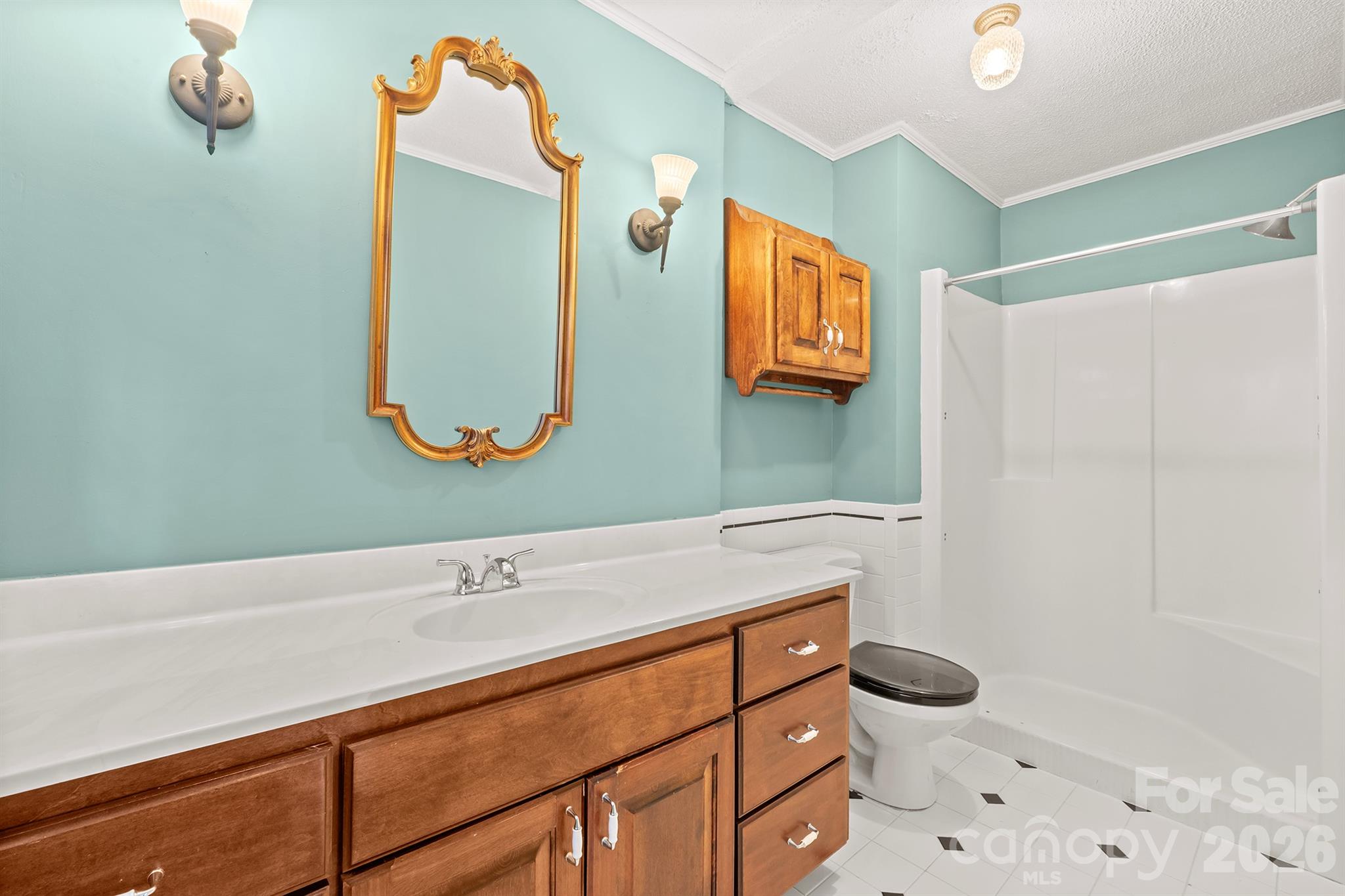 333 Sandy Ford Road Mount Holly, NC 28120 - Photo 26 of 42 a bathroom with a sink a mirror and a toilet