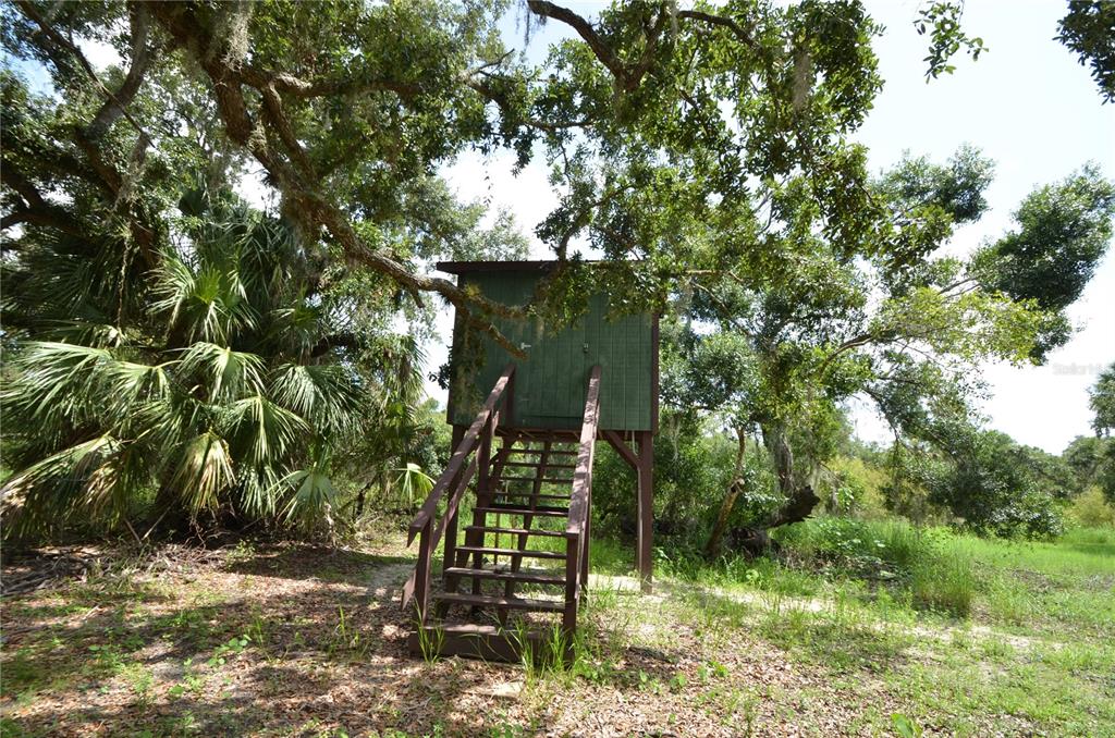 0 Southeast Highway 31 Arcadia, FL 34266 - Photo 21 of 45 a view of outdoor space and yard