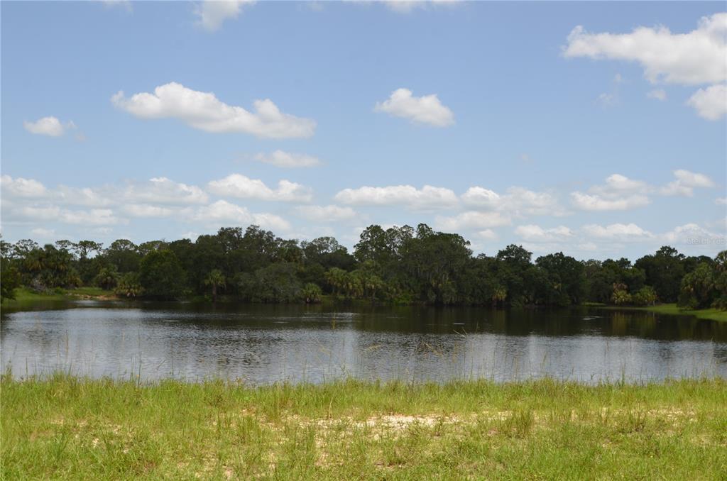 0 Southeast Highway 31 Arcadia, FL 34266 - Photo 27 of 45 a view of a lake view