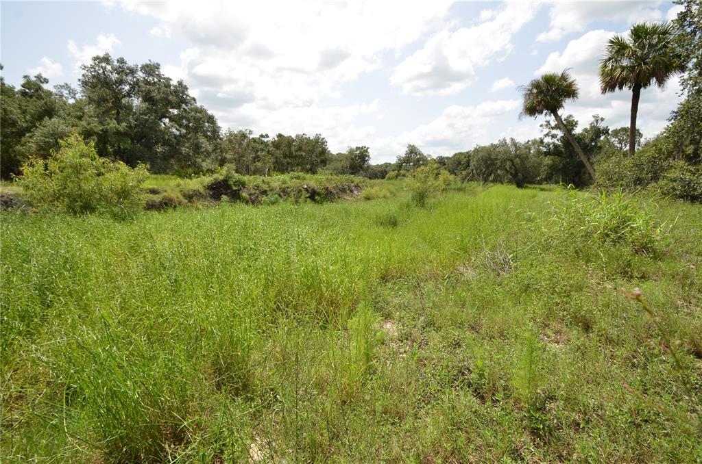 0 Southeast Highway 31 Arcadia, FL 34266 - Photo 33 of 45 a view of a green field with lots of bushes