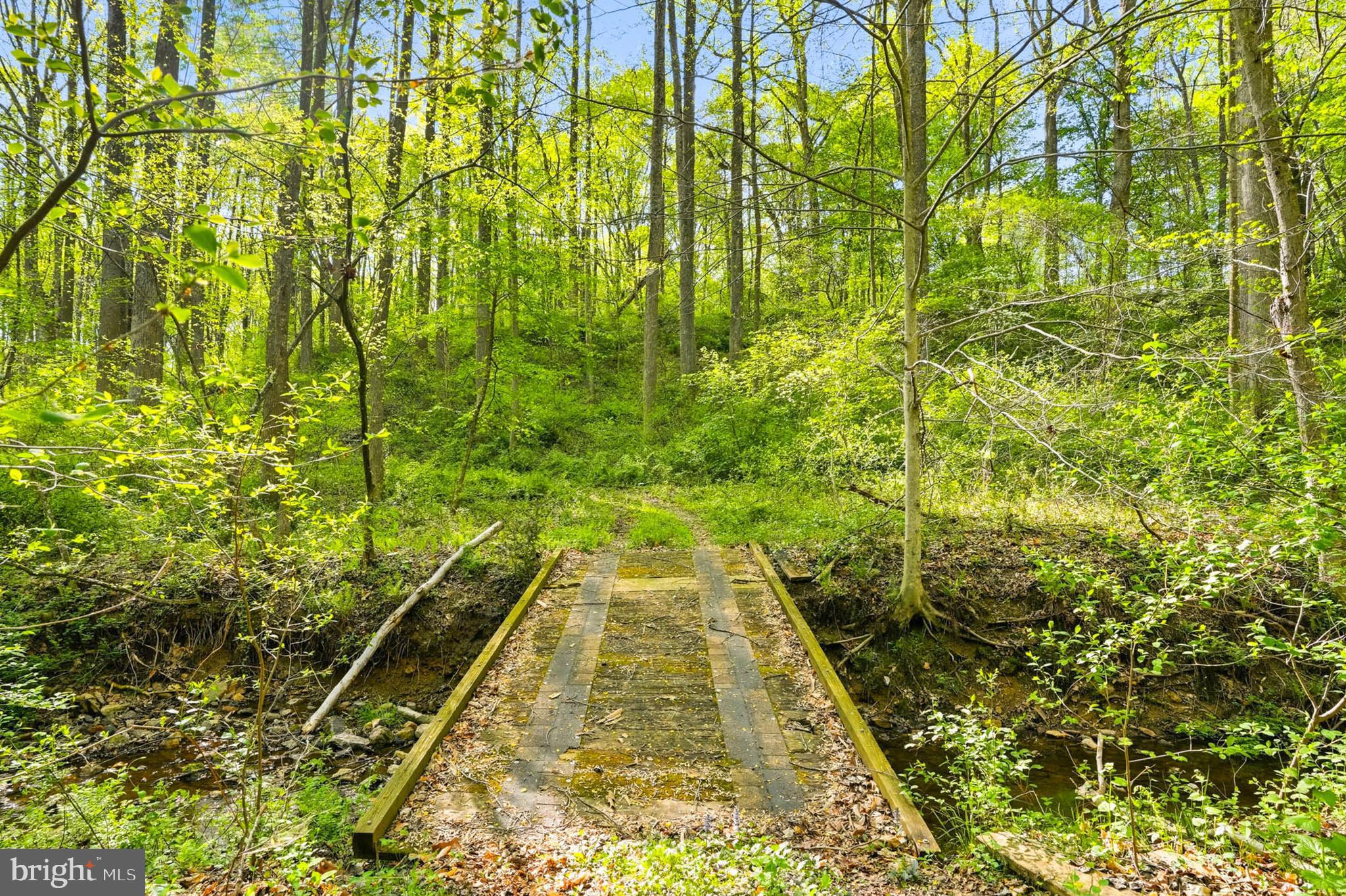 7049 Mink Hollow Road Highland, MD 20777 - Photo 16 of 72 Bridge you can drive over the creek!