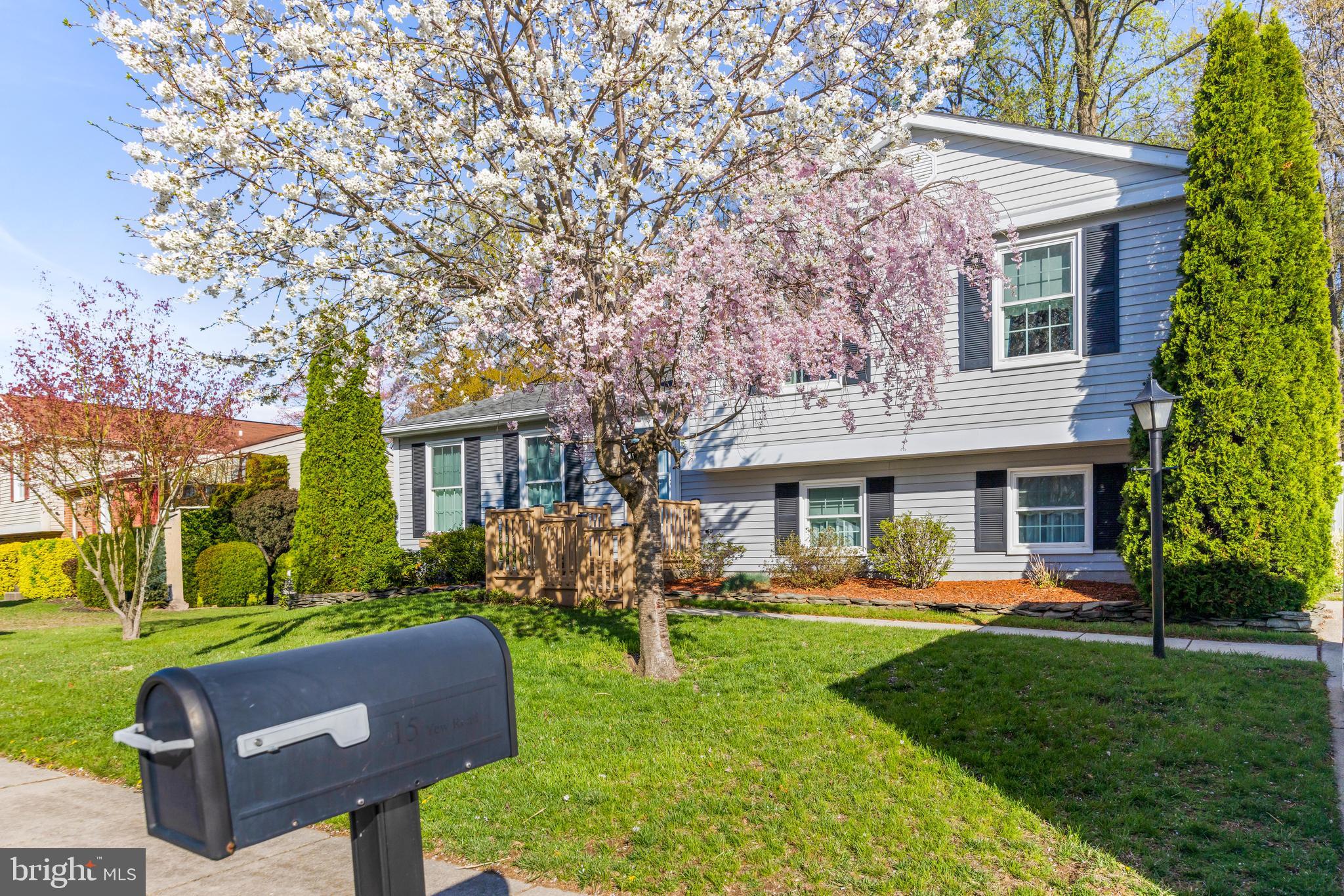 15 Yew Road Baltimore, MD 21221 - Photo 61 of 61 a front view of house with yard and green space