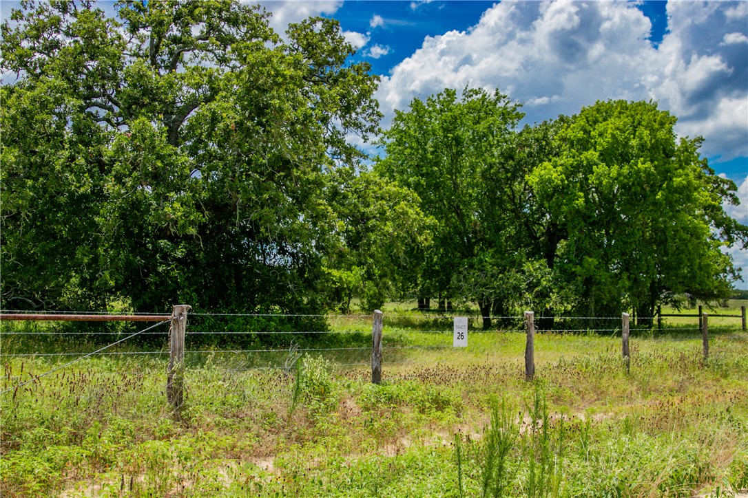 26 Legacy Road Somerville, TX 77879 - Photo 20 of 25 a backyard of a house with lots of green space