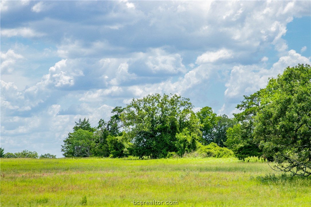 26 Legacy Road Somerville, TX 77879 - Photo 21 of 25 a view of a garden