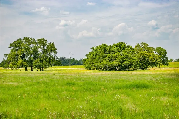 a view of a big yard with lots of green space
