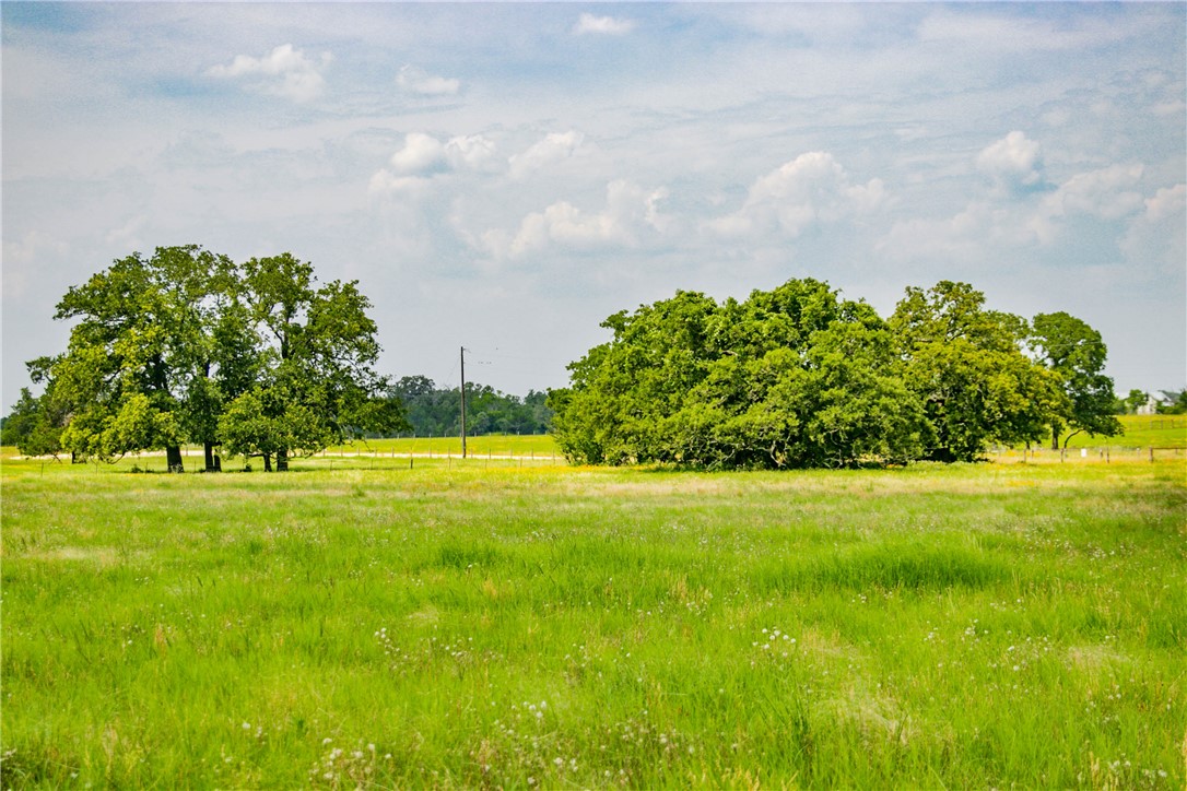 26 Legacy Road Somerville, TX 77879 - Photo 3 of 25 a view of a big yard with lots of green space